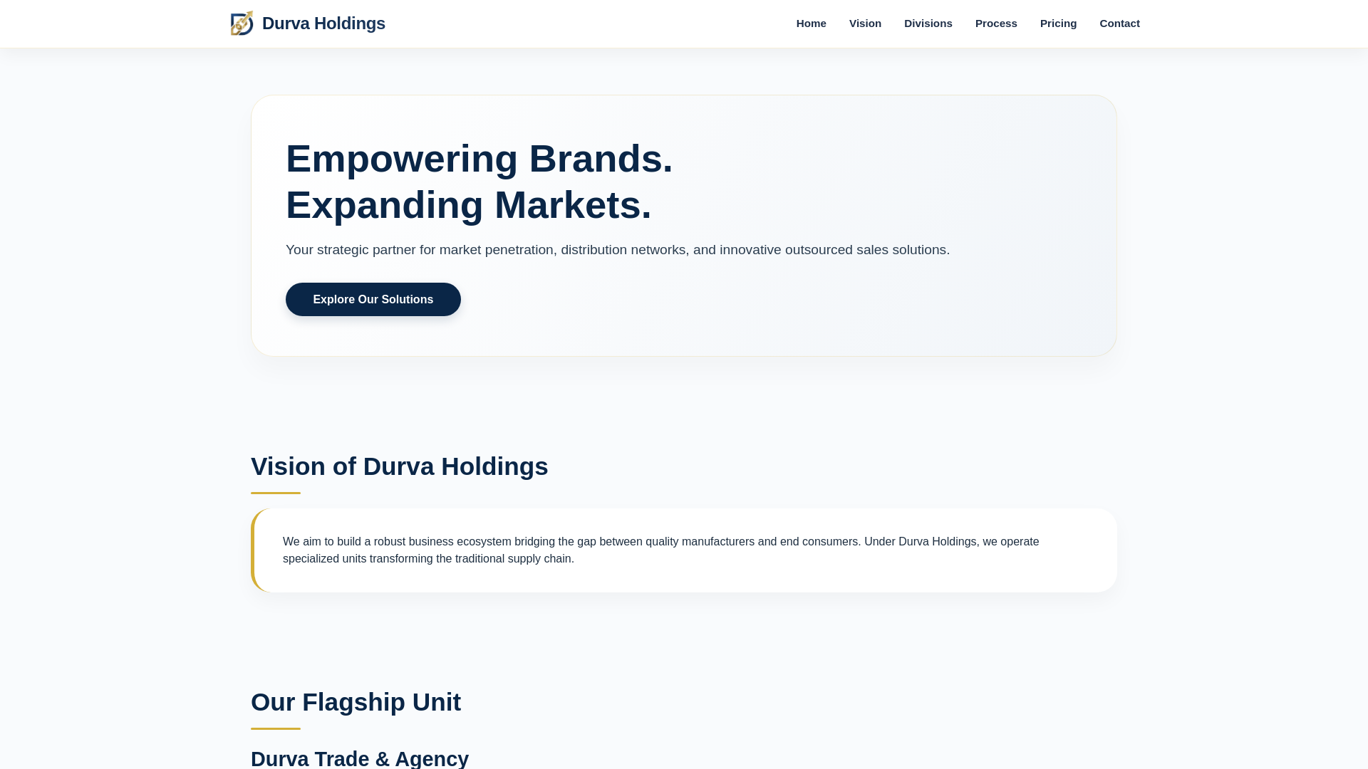 website screenshot of https://durvaholdings.in/