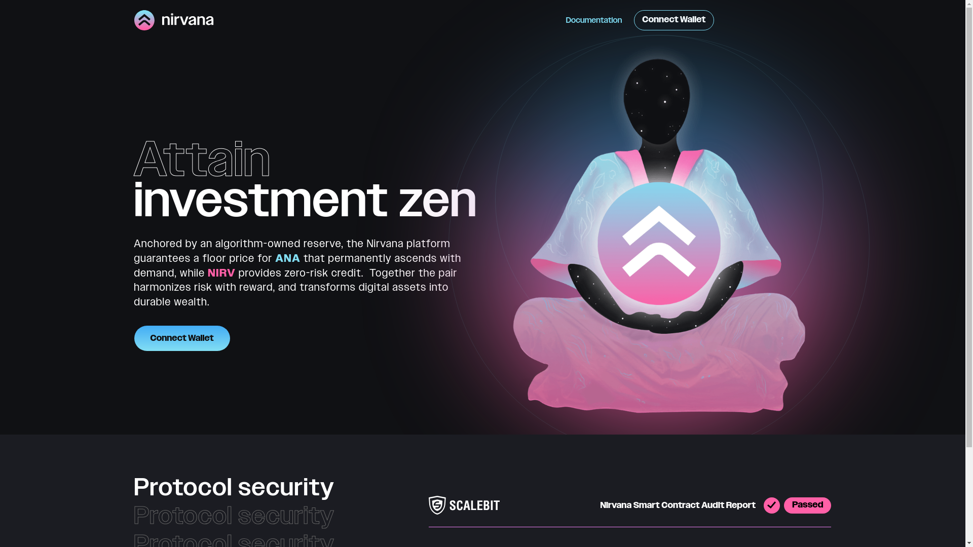 website screenshot of https://nirvannaa.top/