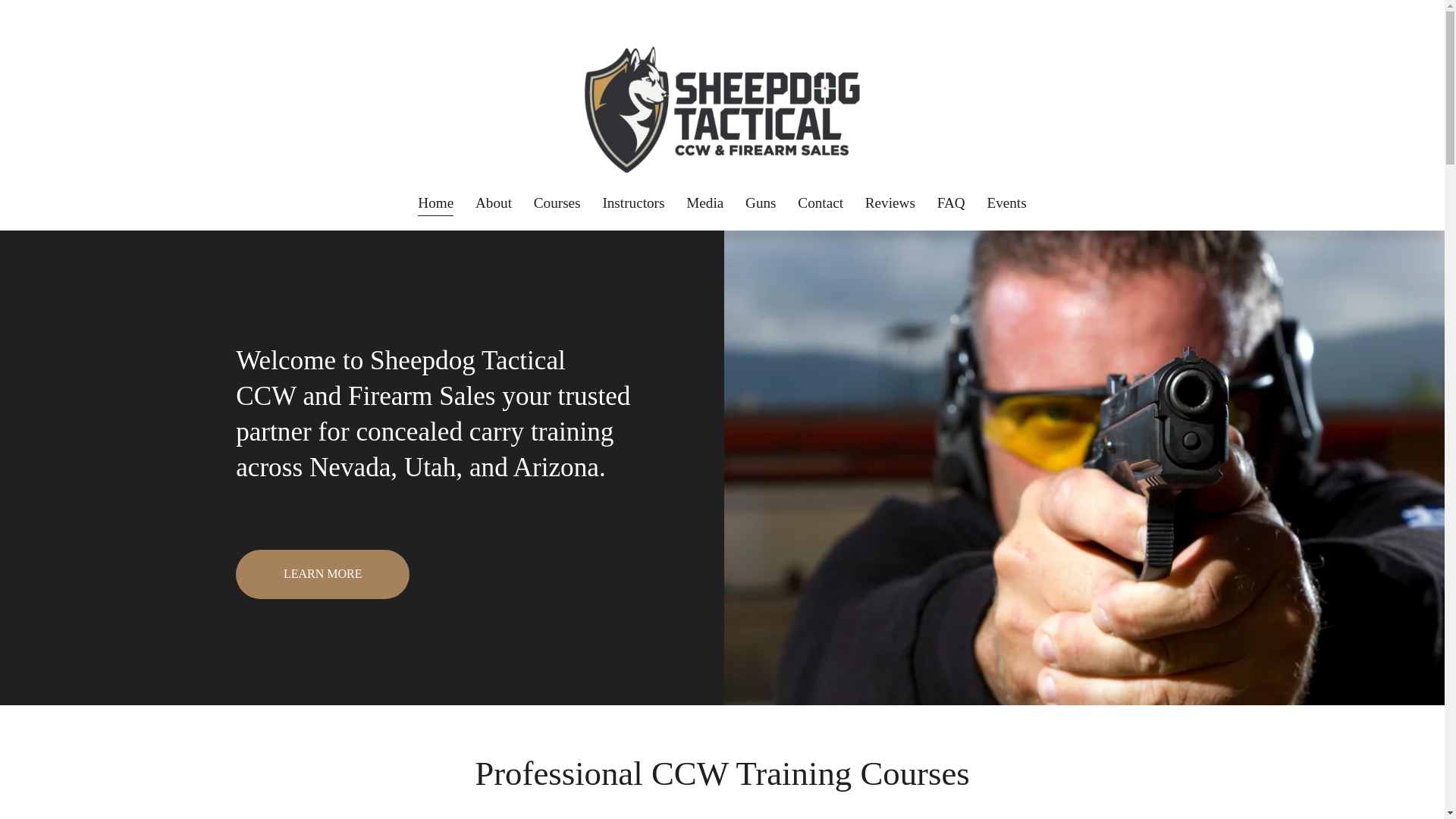 website screenshot of https://ccwnevada.net/