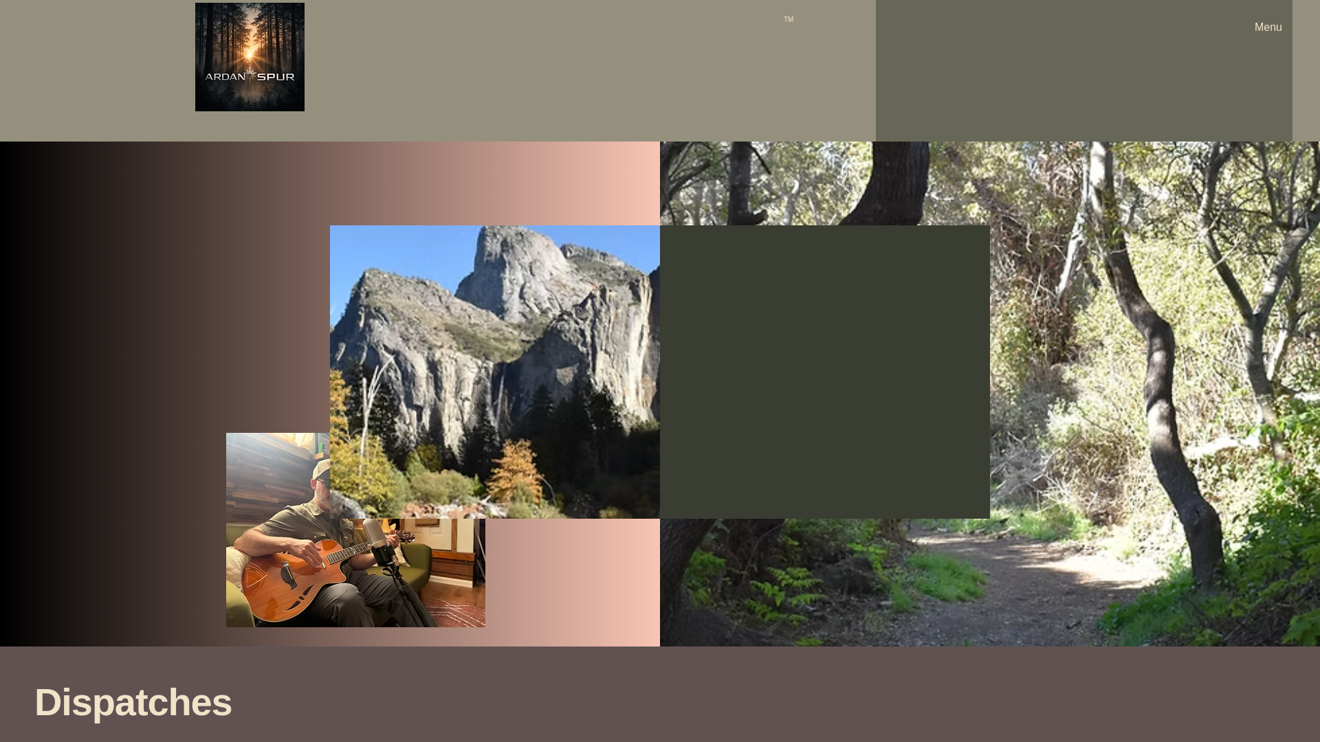 website screenshot of https://ardanspur.com/