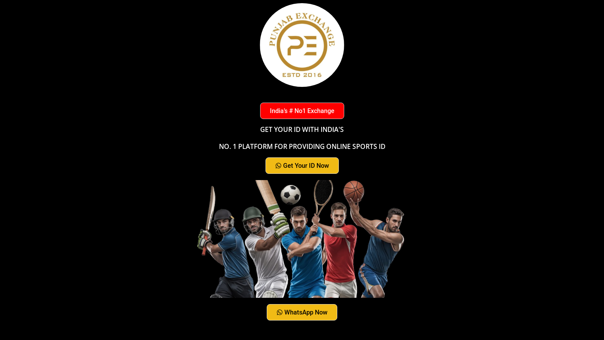website screenshot of https://punjabexchange.site/