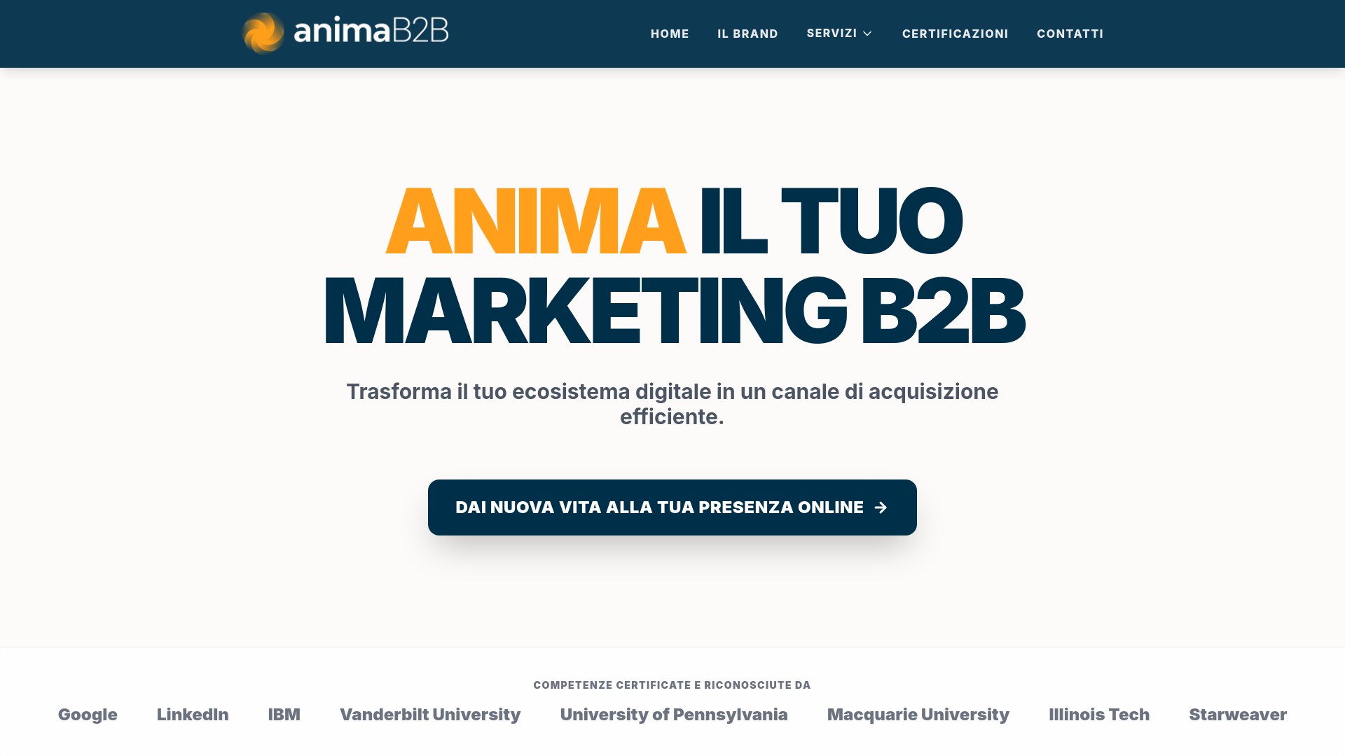 website screenshot of https://animab2b.pages.dev/