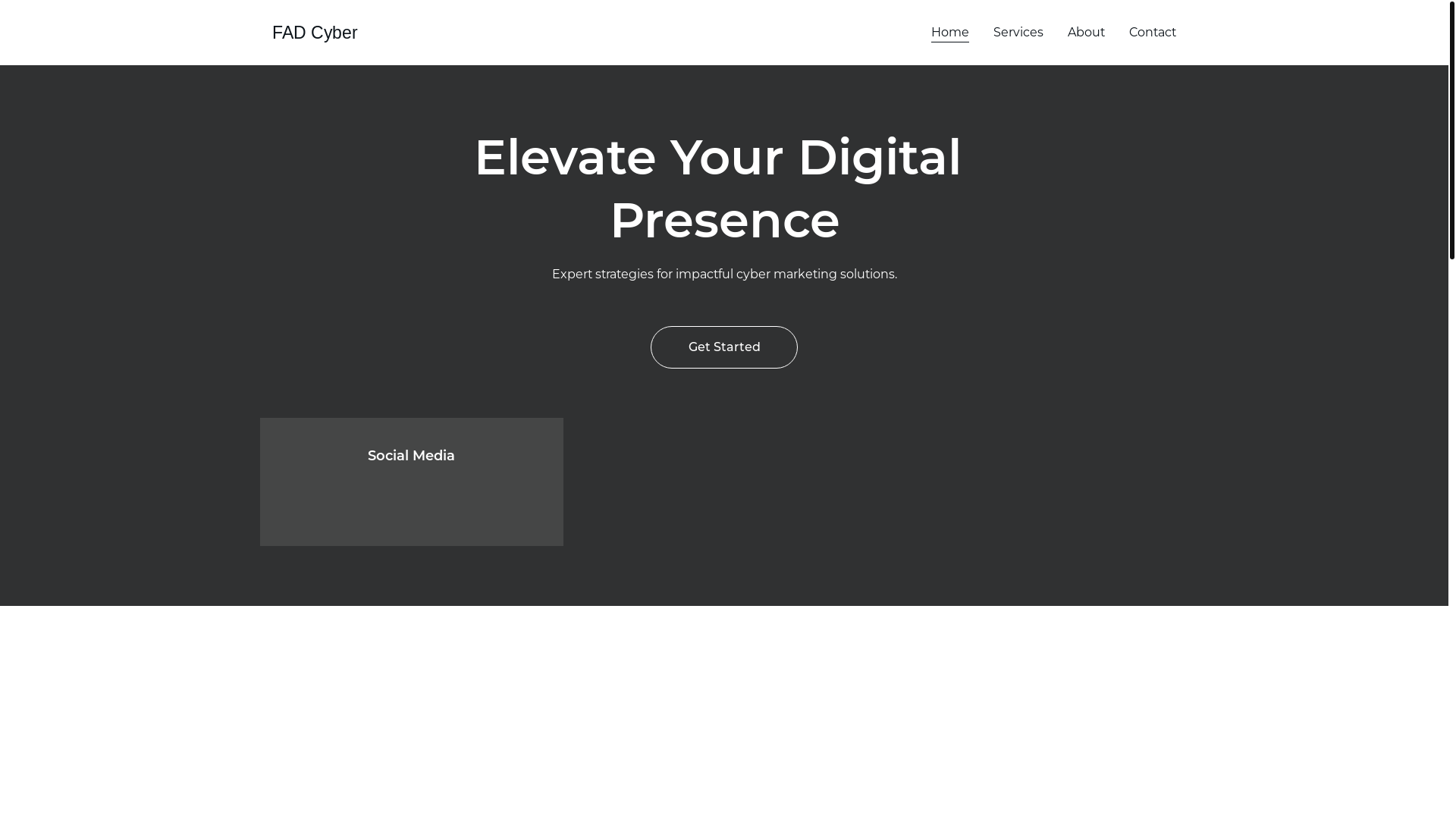 website screenshot of https://fadcyber.info/