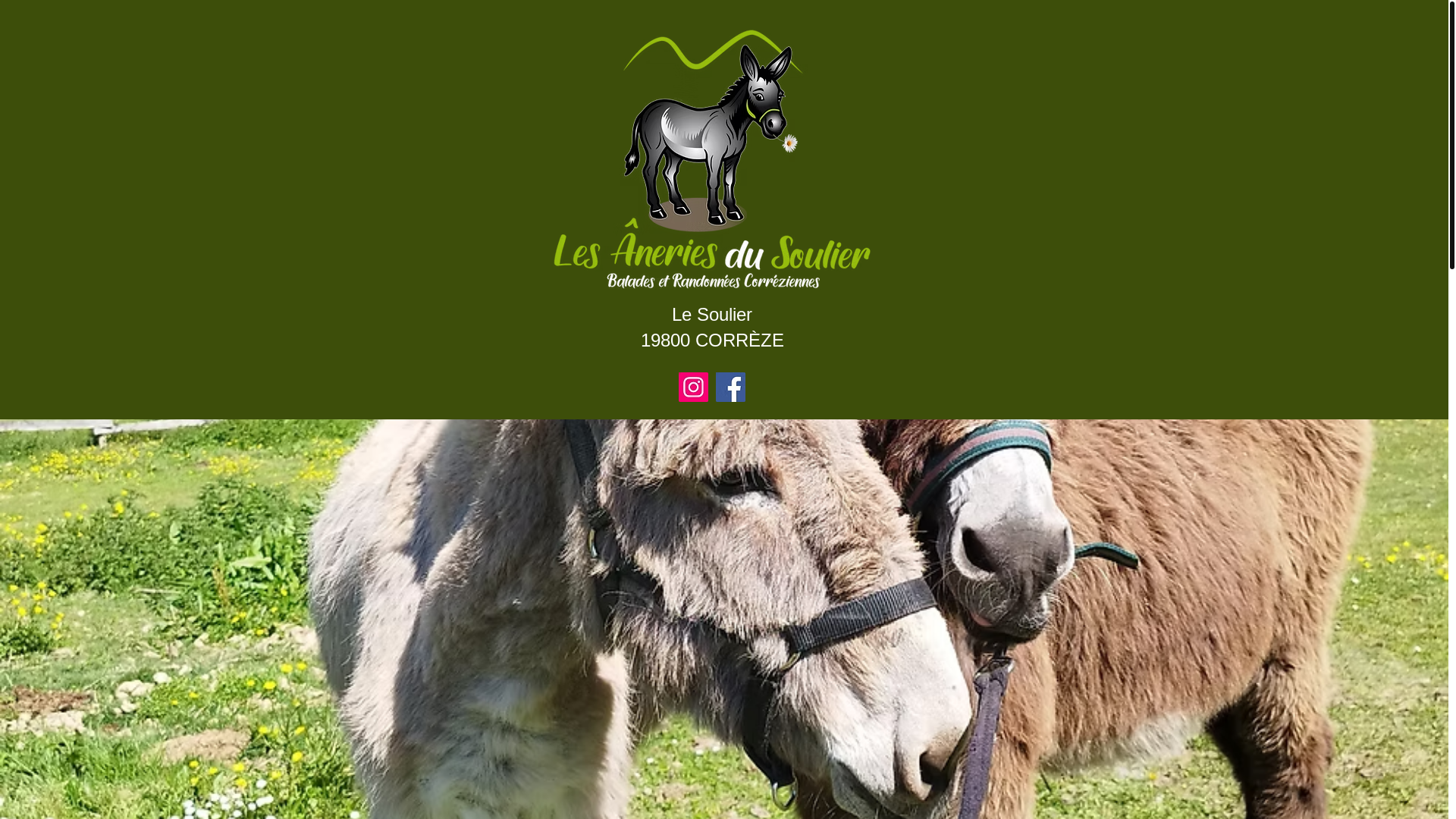 website screenshot of https://les-aneries-du-soulier.com/