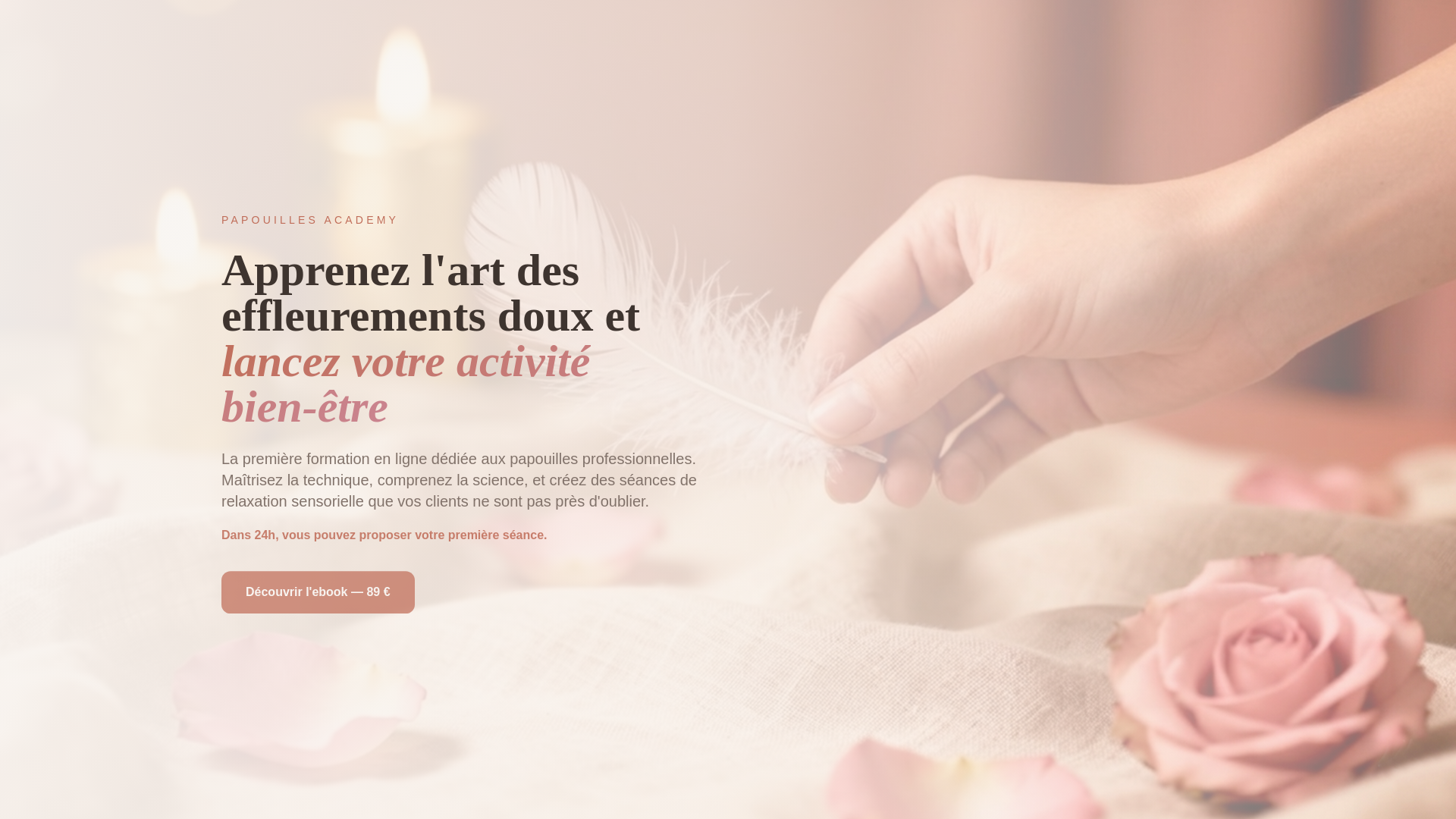 website screenshot of https://papouillesacademy.com/