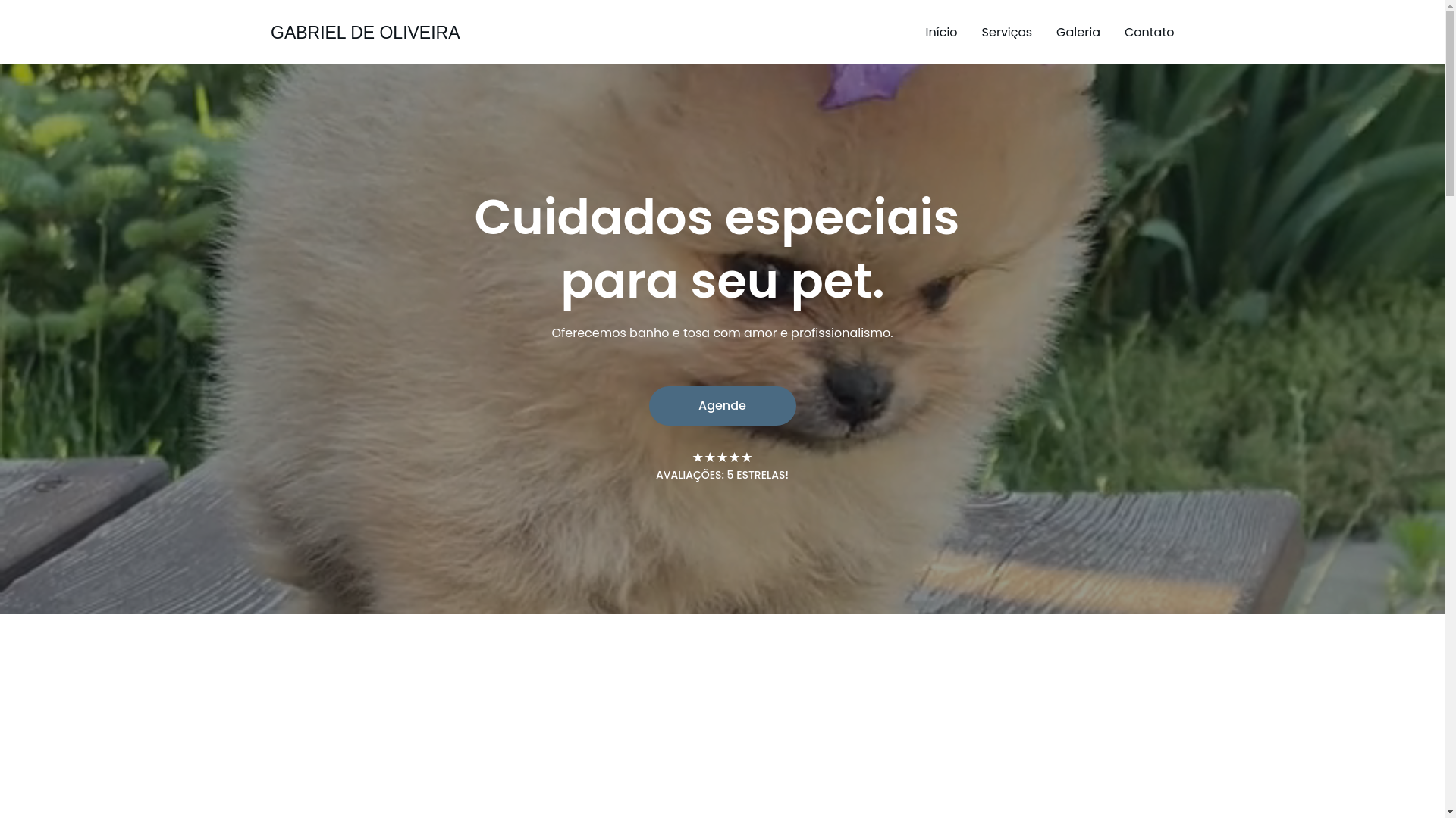 website screenshot of https://gabrieldeoliveira.shop/