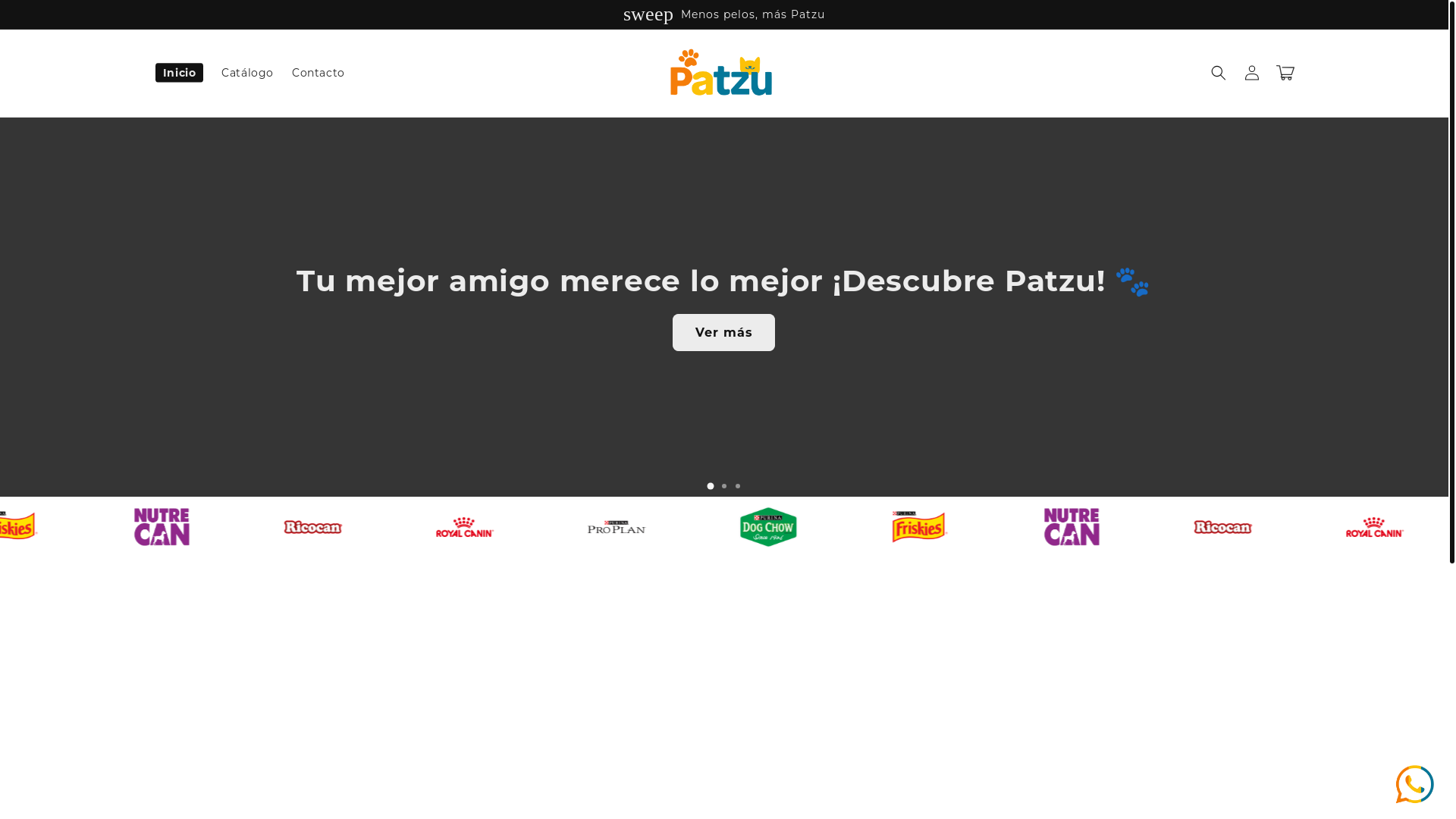 website screenshot of https://patzustore.com/