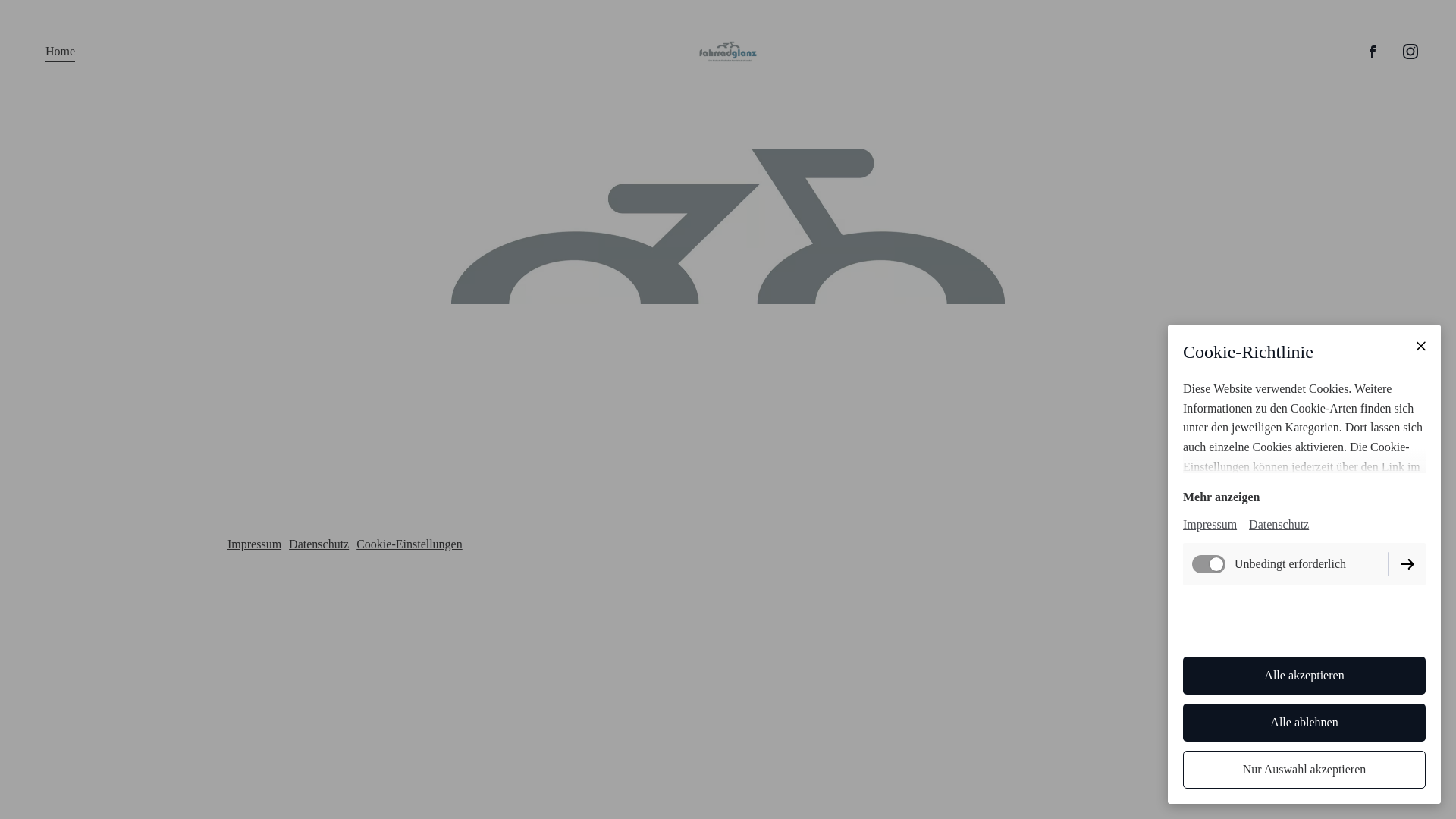 website screenshot of https://fahrradglanz.com/