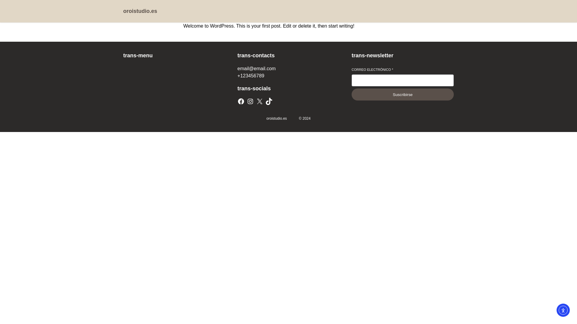 website screenshot of https://oroistudio.es