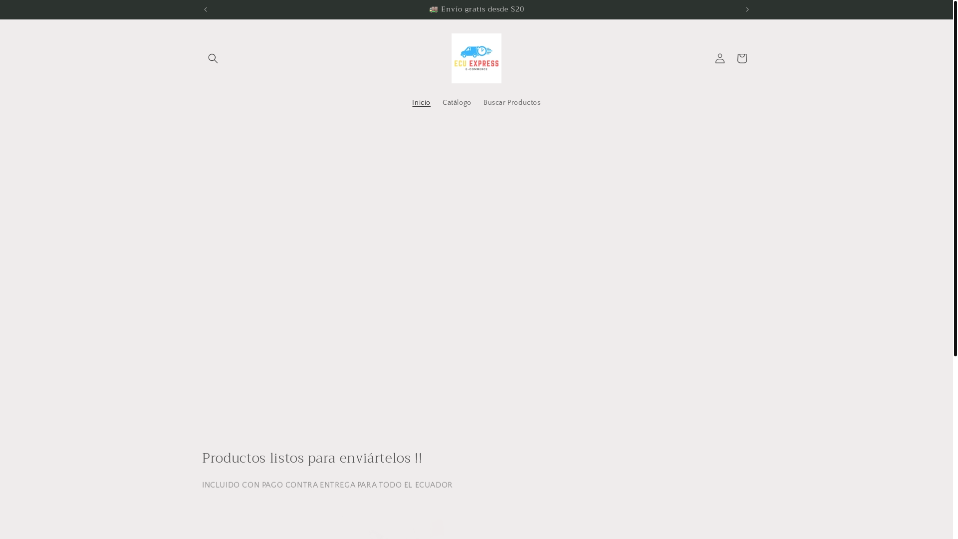 website screenshot of https://ecuexpressec.com/
