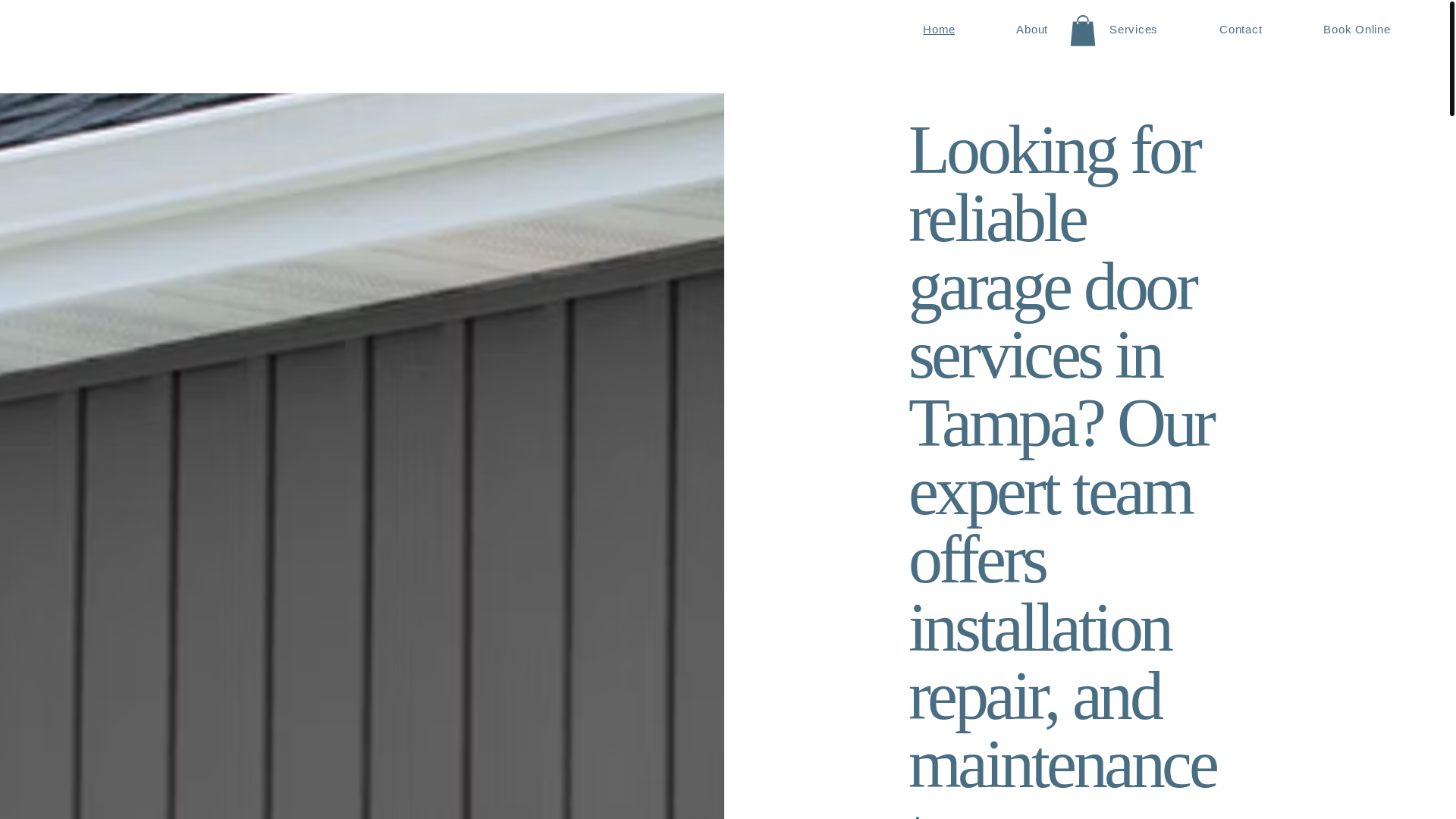 website screenshot of https://liveinadreamflorida.com/