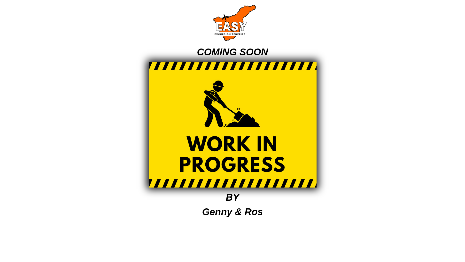 website screenshot of https://easyexcursiontenerife.com/