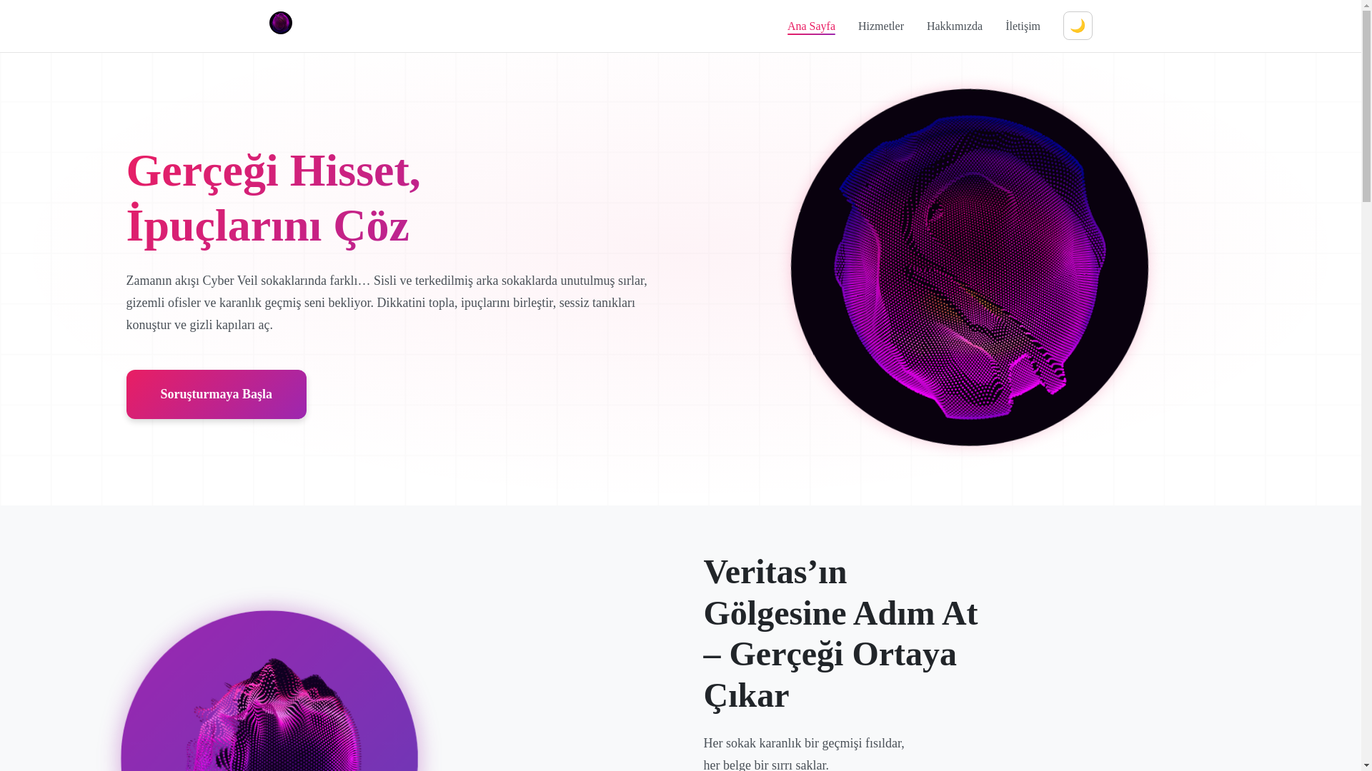 website screenshot of https://cyberveilquest.com/