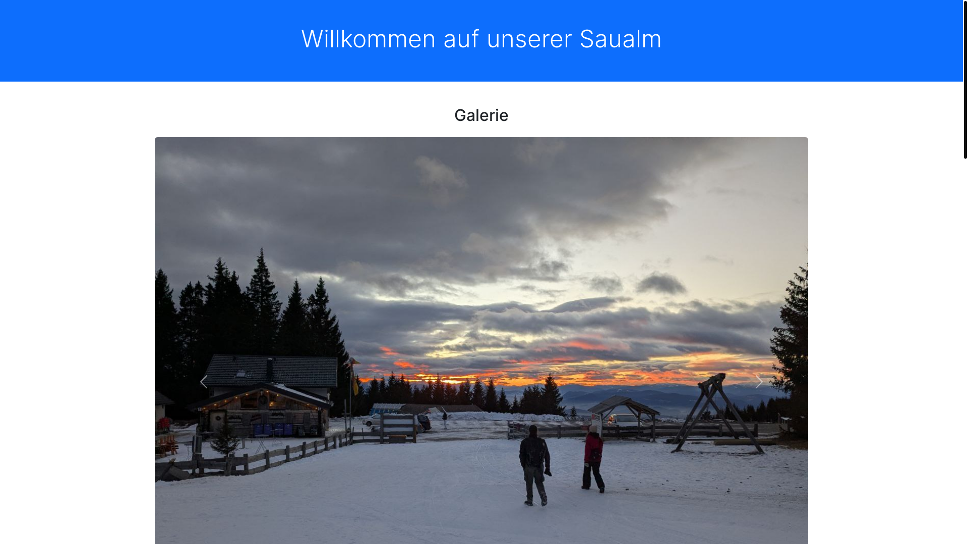 website screenshot of https://saualmhaus.at/
