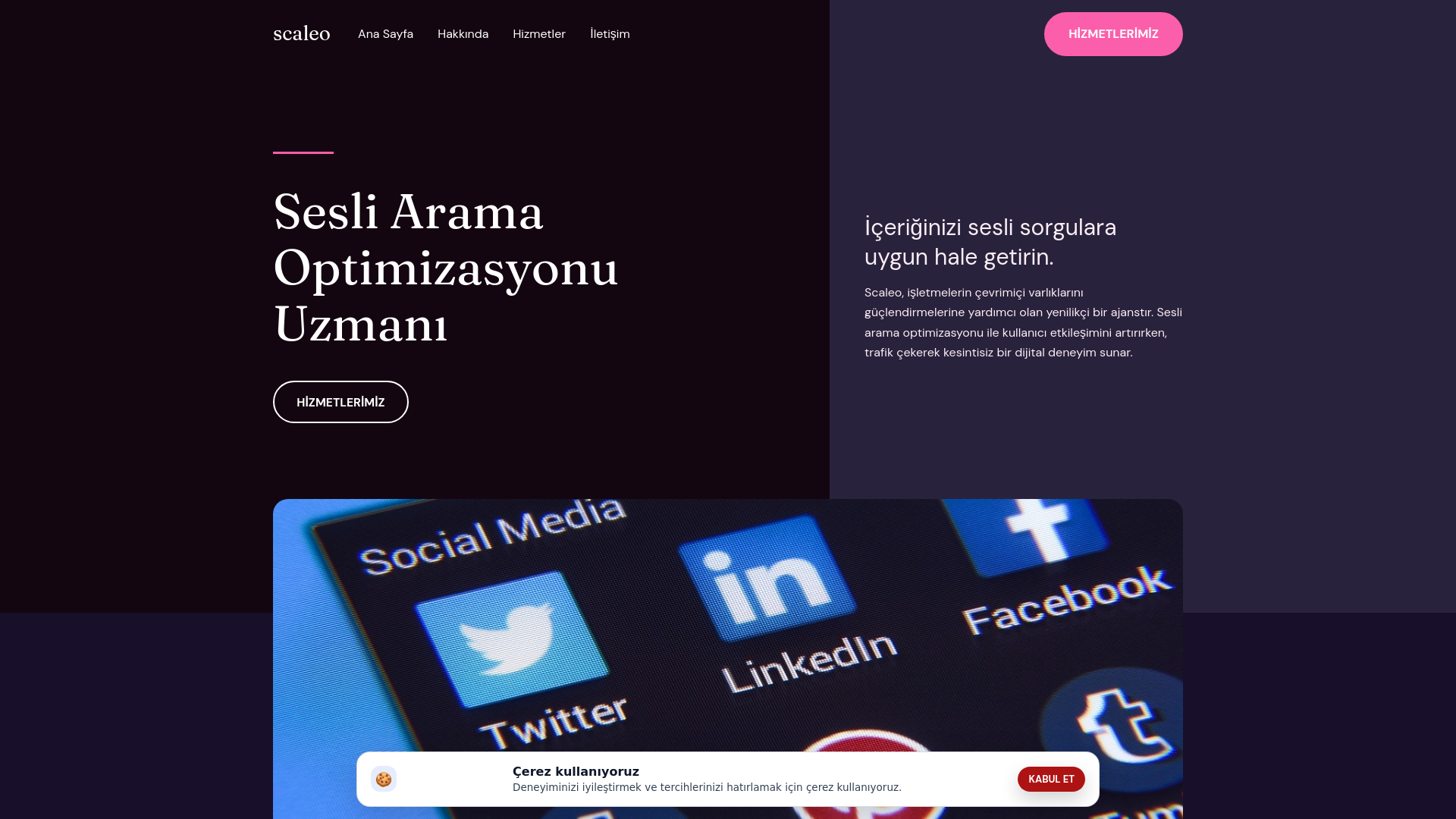 website screenshot of https://scaleo.company/