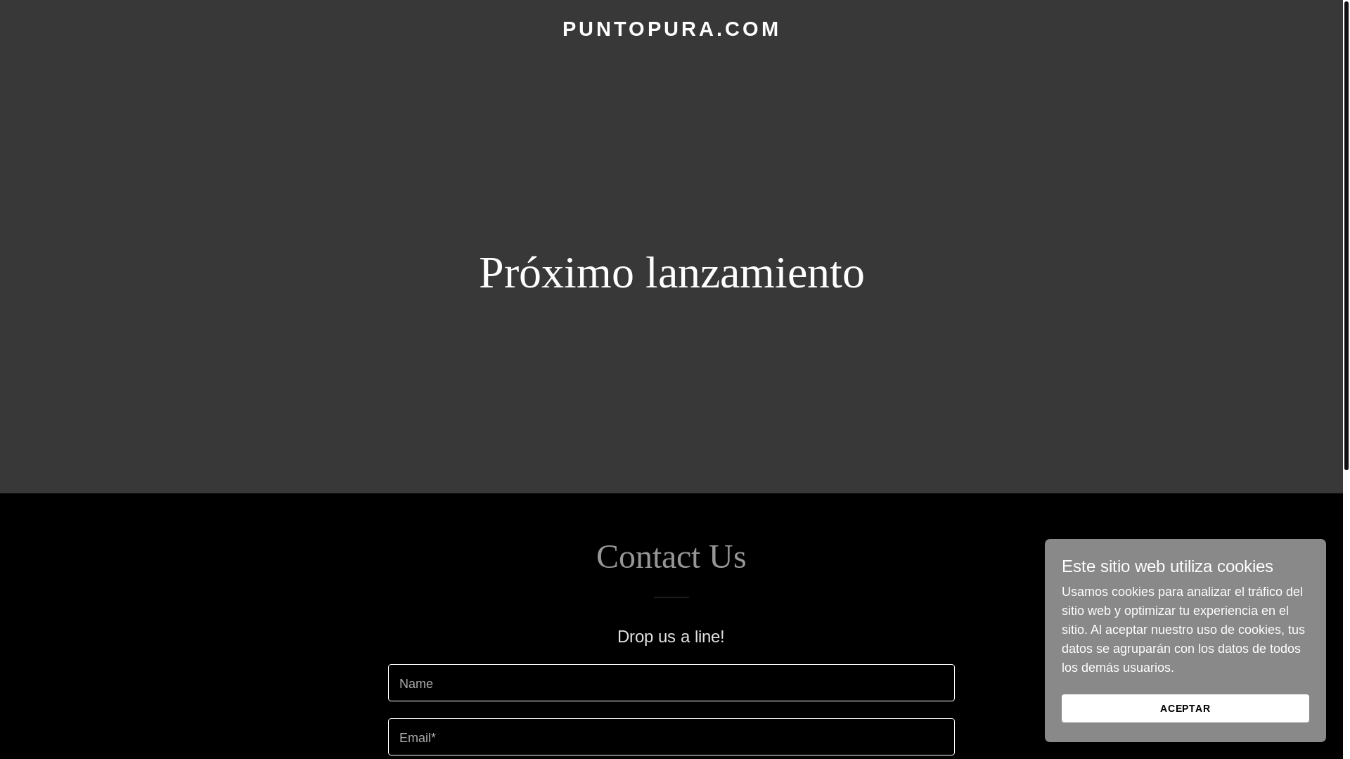 website screenshot of https://puntopura.com/