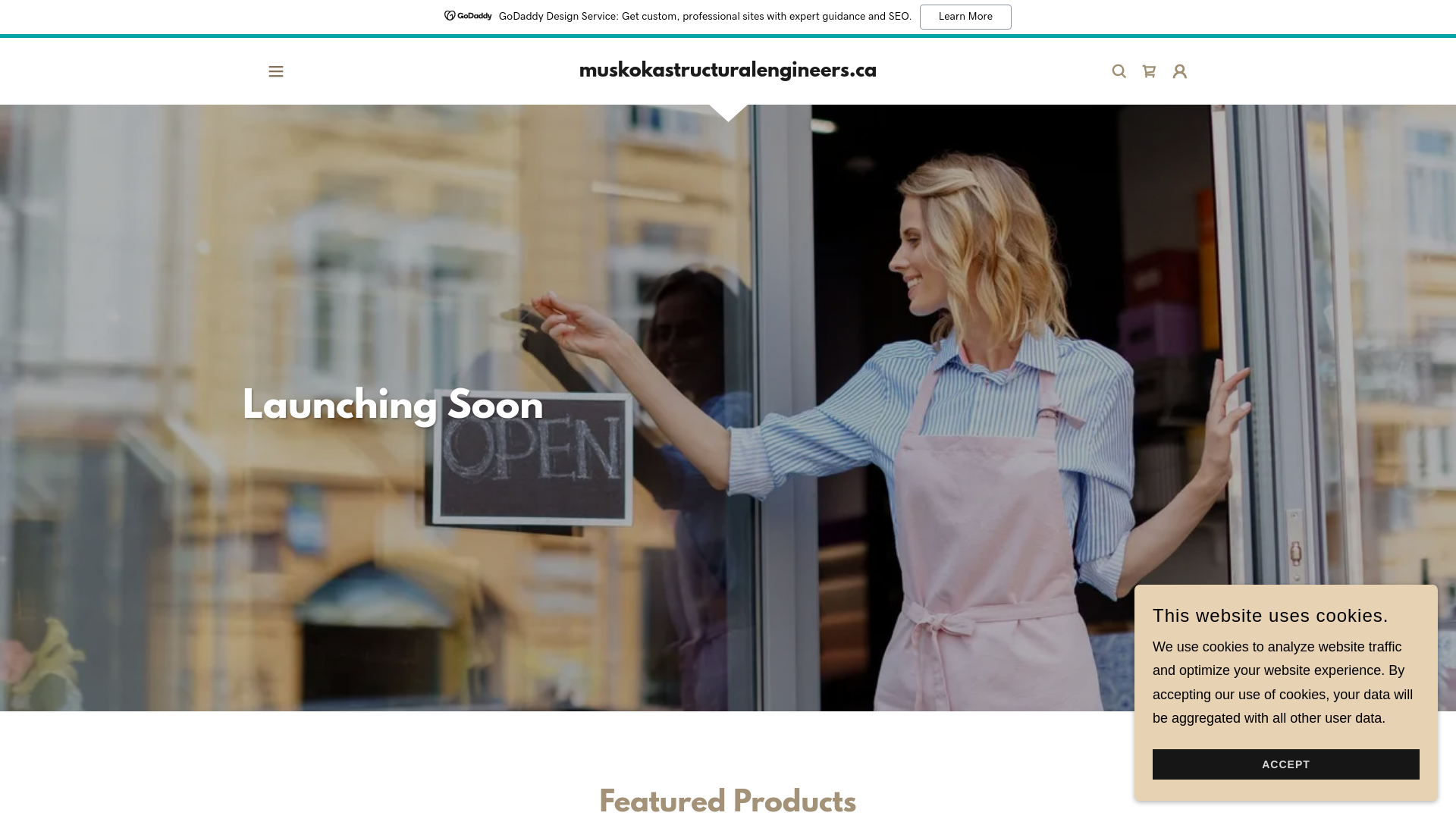 website screenshot of https://muskokastructuralengineers.ca/