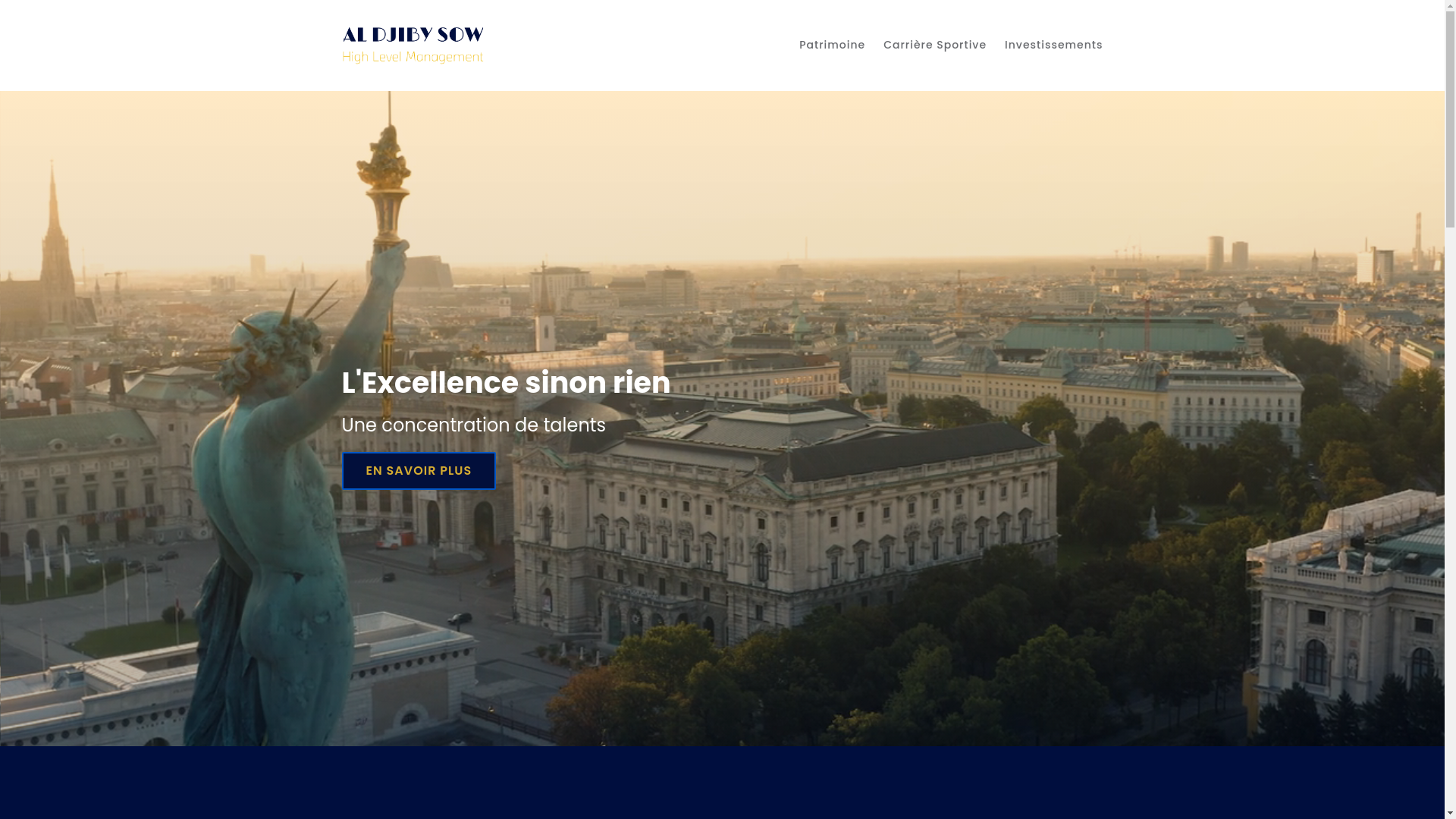 website screenshot of https://highlevelmanagement.eu/