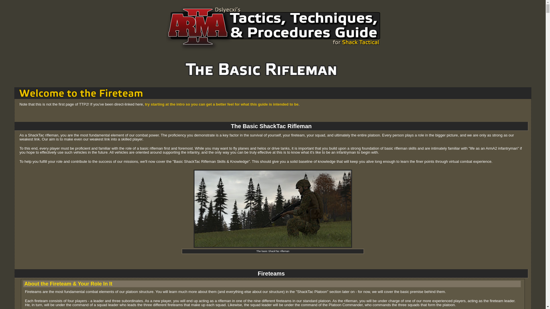 website screenshot of https://ttp2.dslyecxi.com/basic_rifleman.html