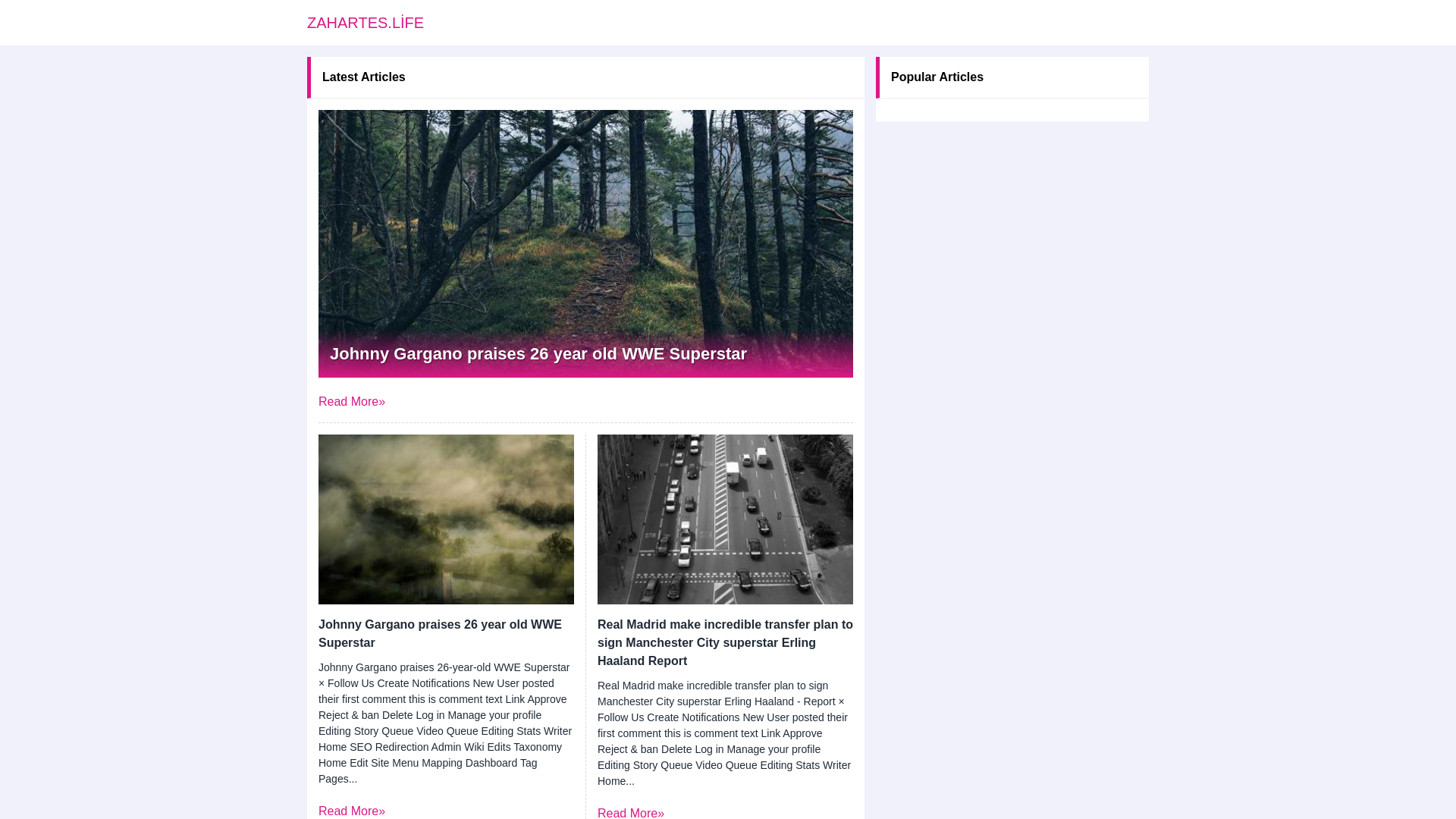 website screenshot of https://zahartes.life/