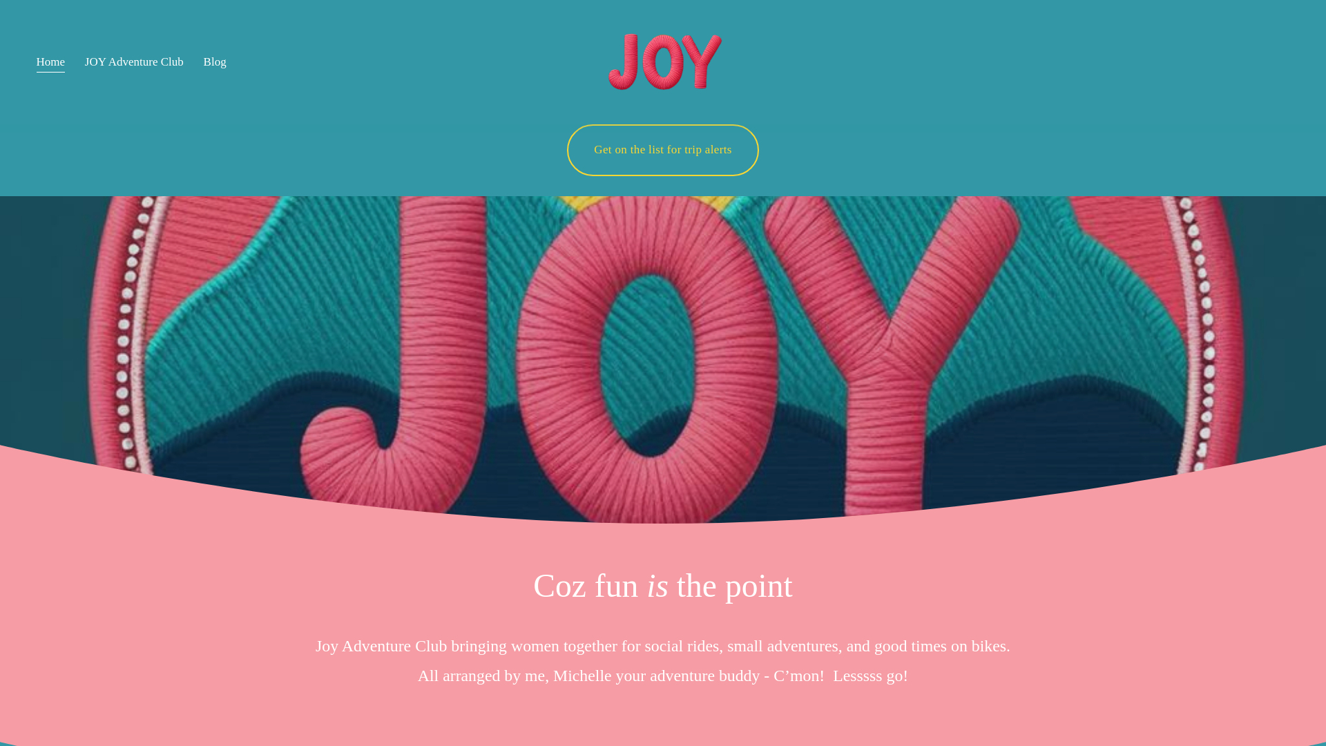 website screenshot of https://joyadventureclub.nz/