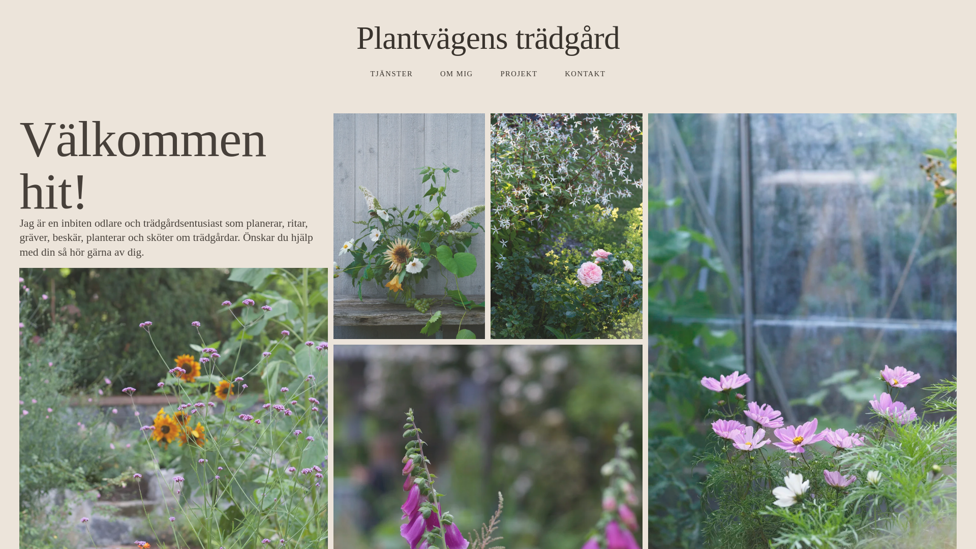 website screenshot of https://plantvagenstradgard.se/