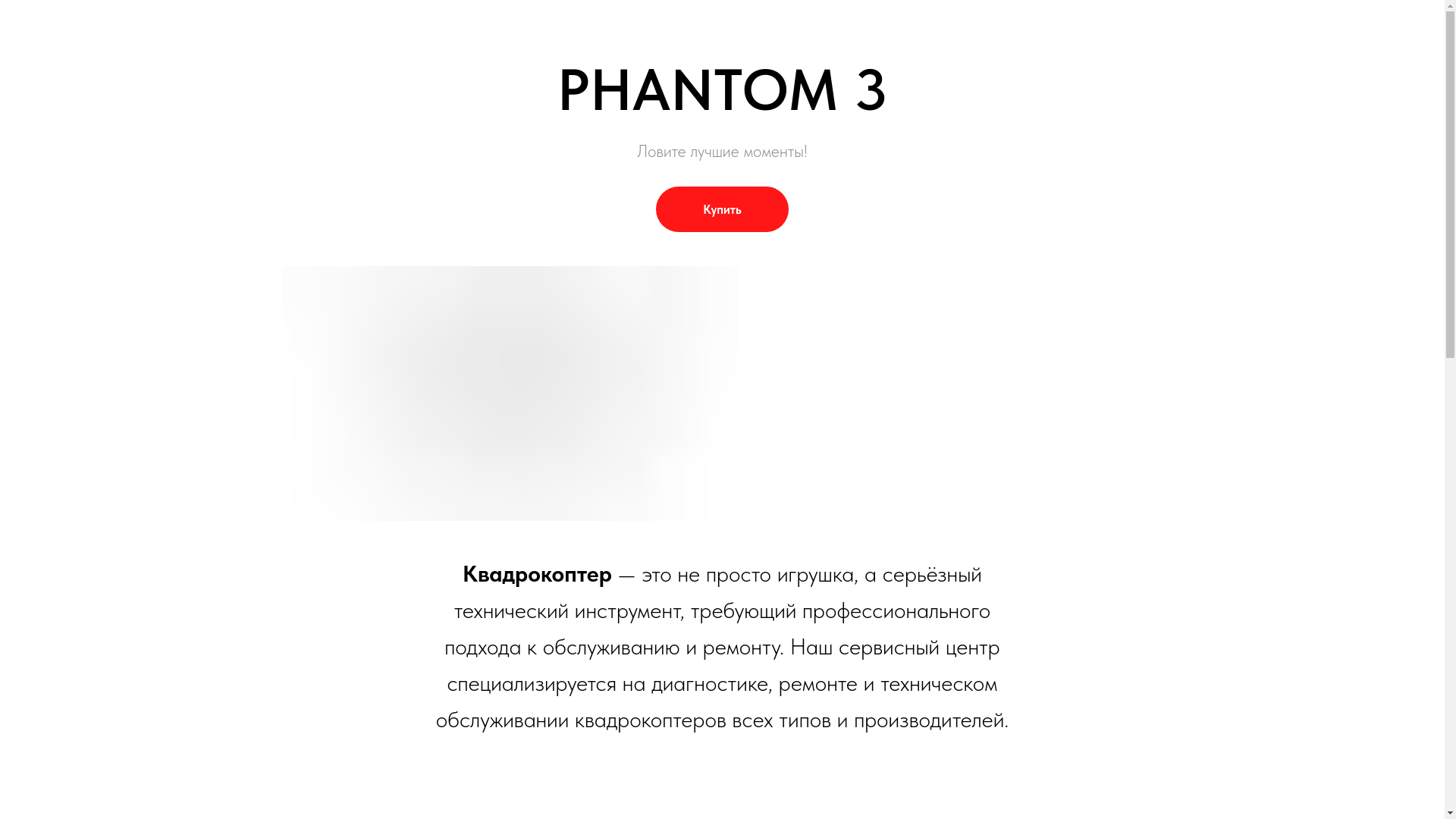 website screenshot of https://dronerussianstore.ru/
