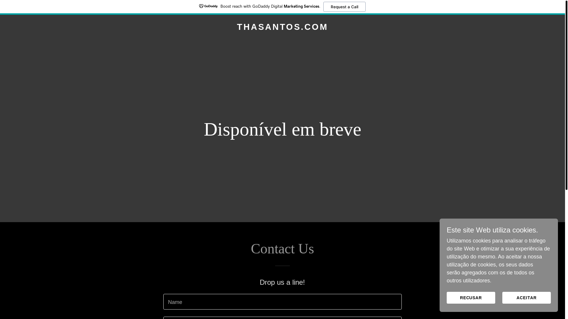 website screenshot of https://thasantos.com/