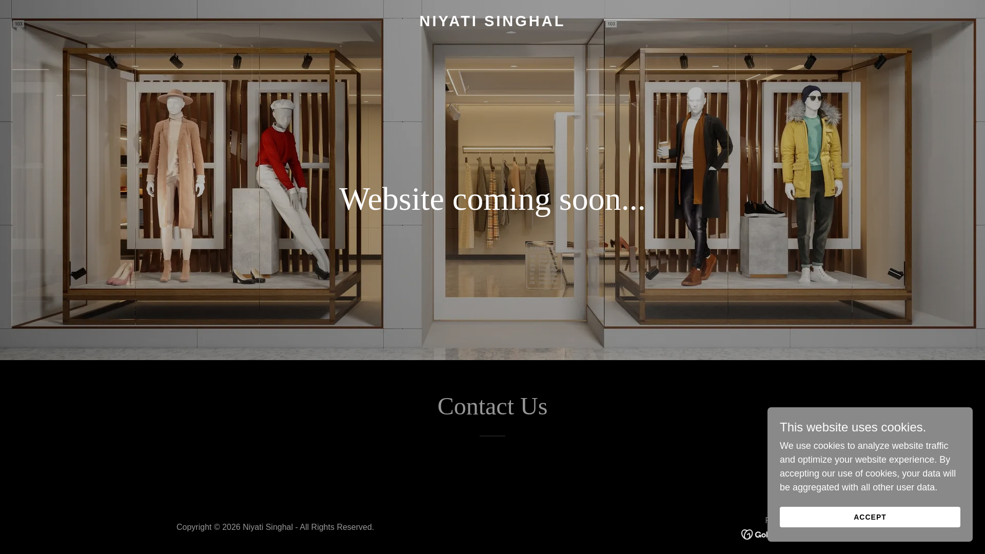 website screenshot of https://nsinghal.in/