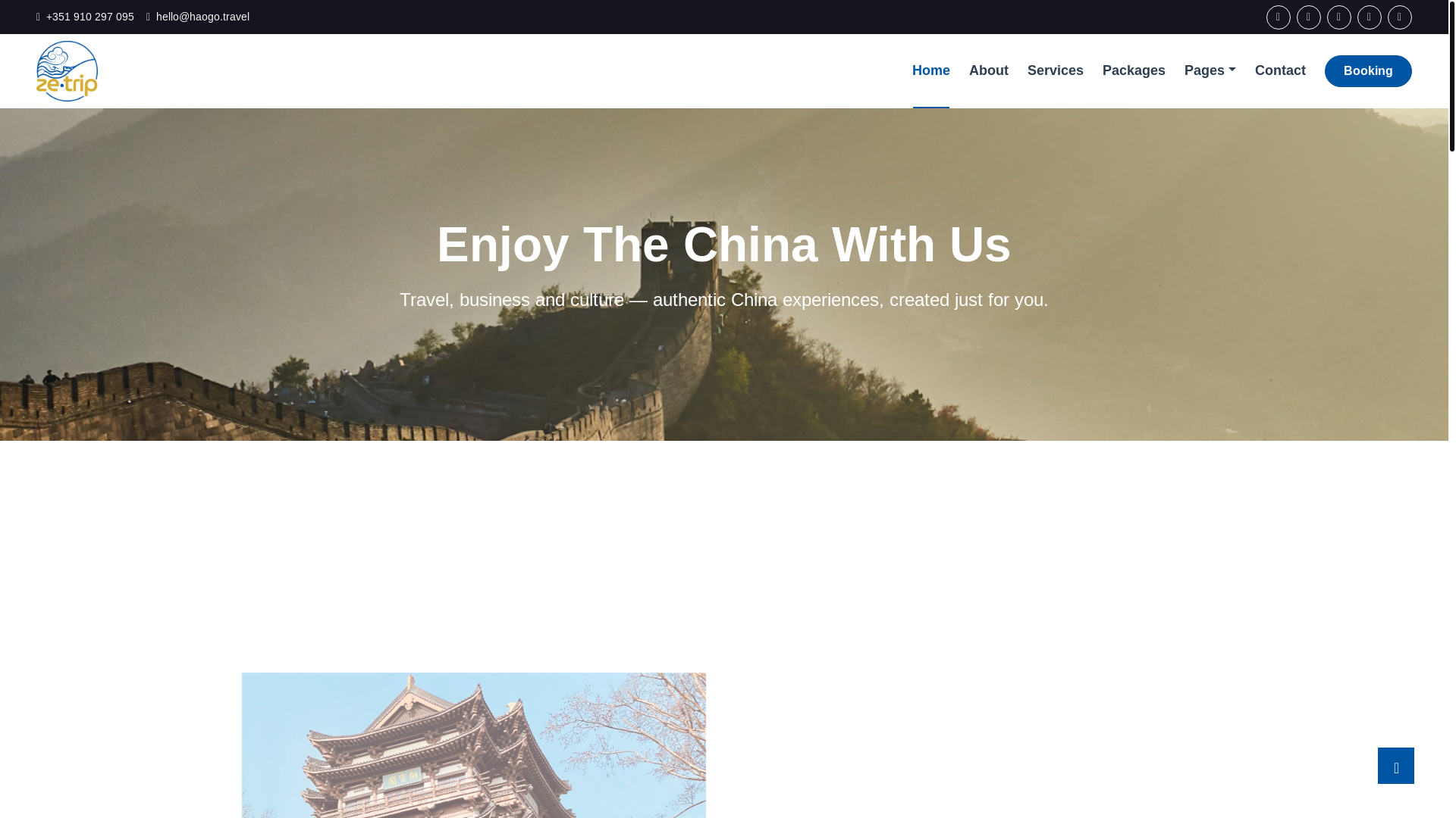 website screenshot of https://zetripchina.com/