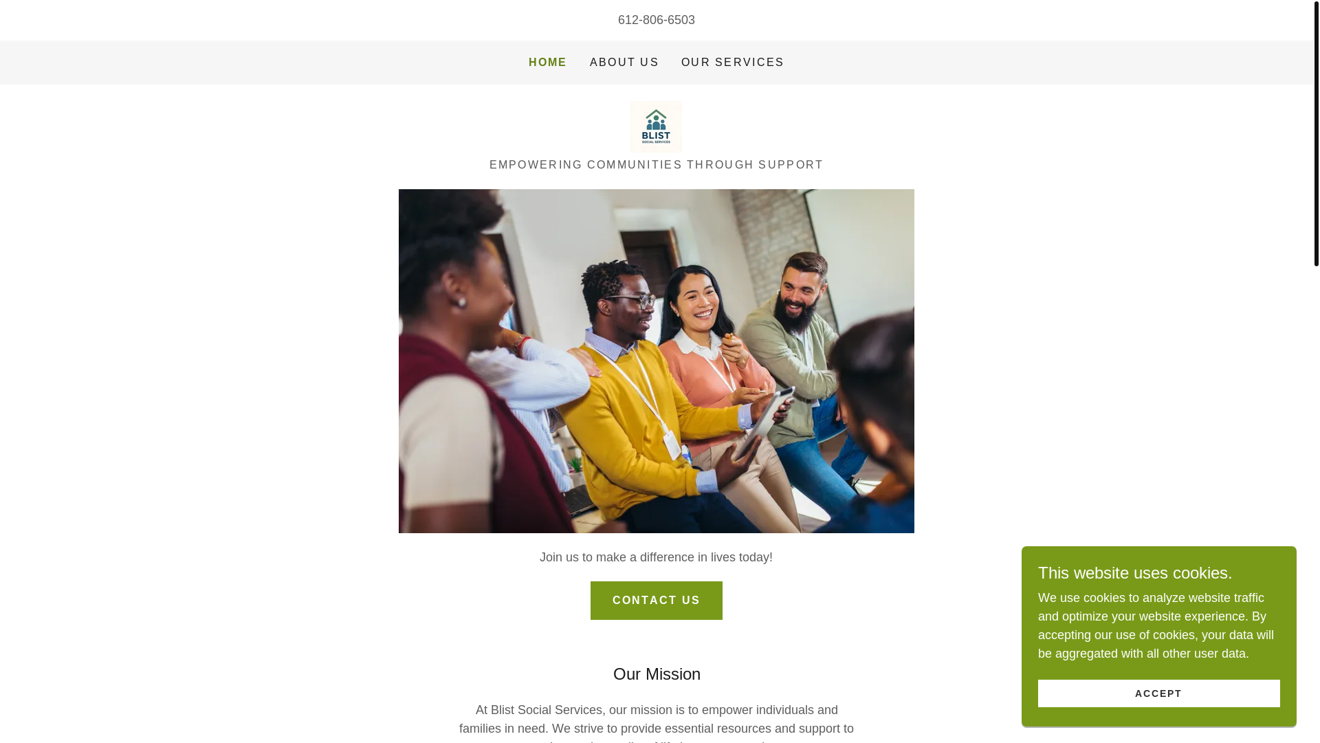 website screenshot of https://blistsocialservice.com/