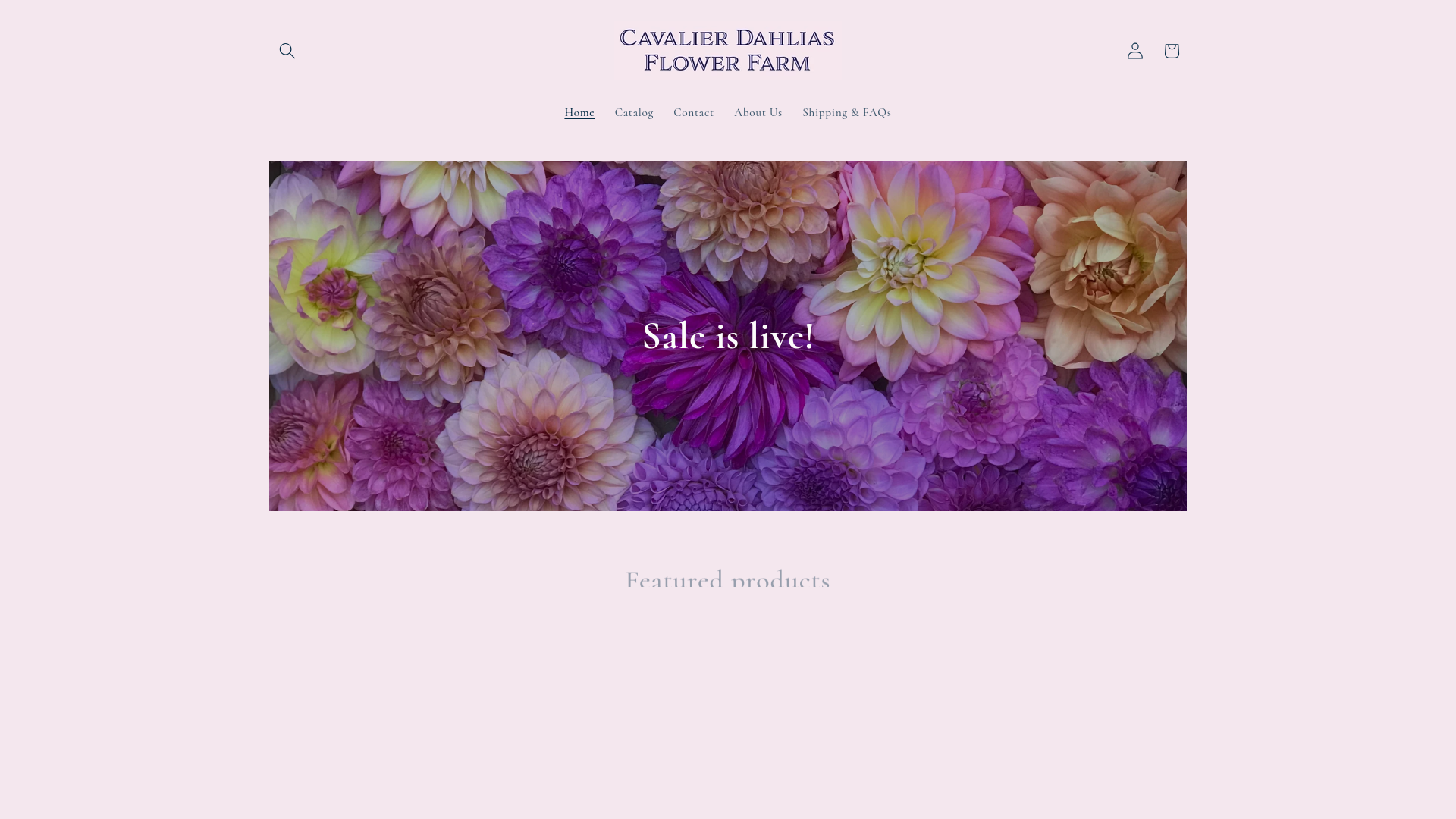 website screenshot of https://cavalierdahliasflowerfarm.com/