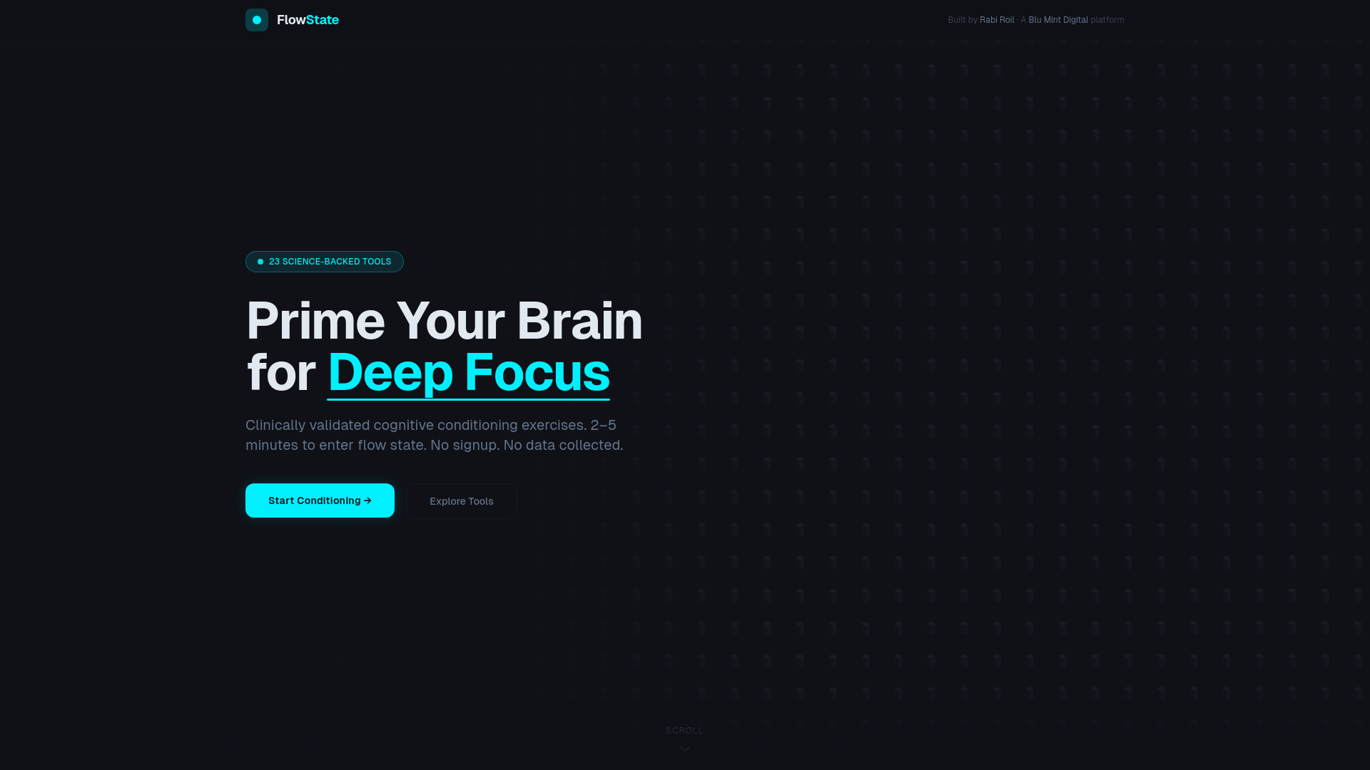 website screenshot of https://flowstateplatform.com/