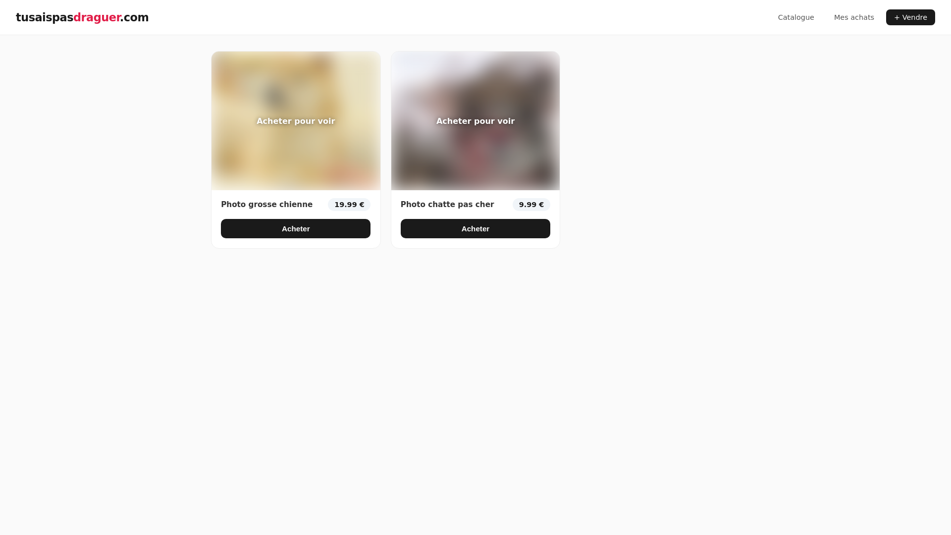 website screenshot of https://tusaispasdraguer.com