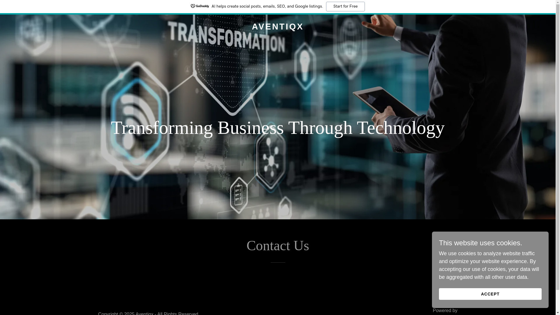 website screenshot of https://aventiqx.com/