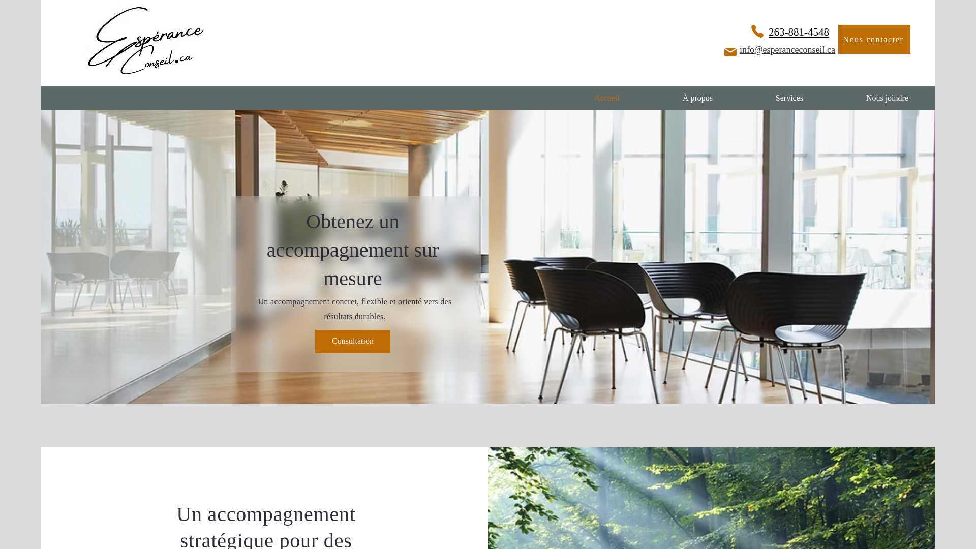 website screenshot of https://esperanceconseil.ca