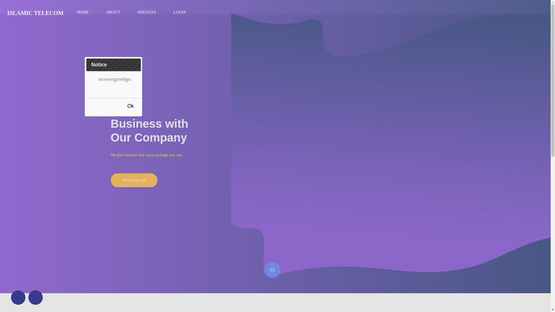 website screenshot of https://islamictelicom.top/