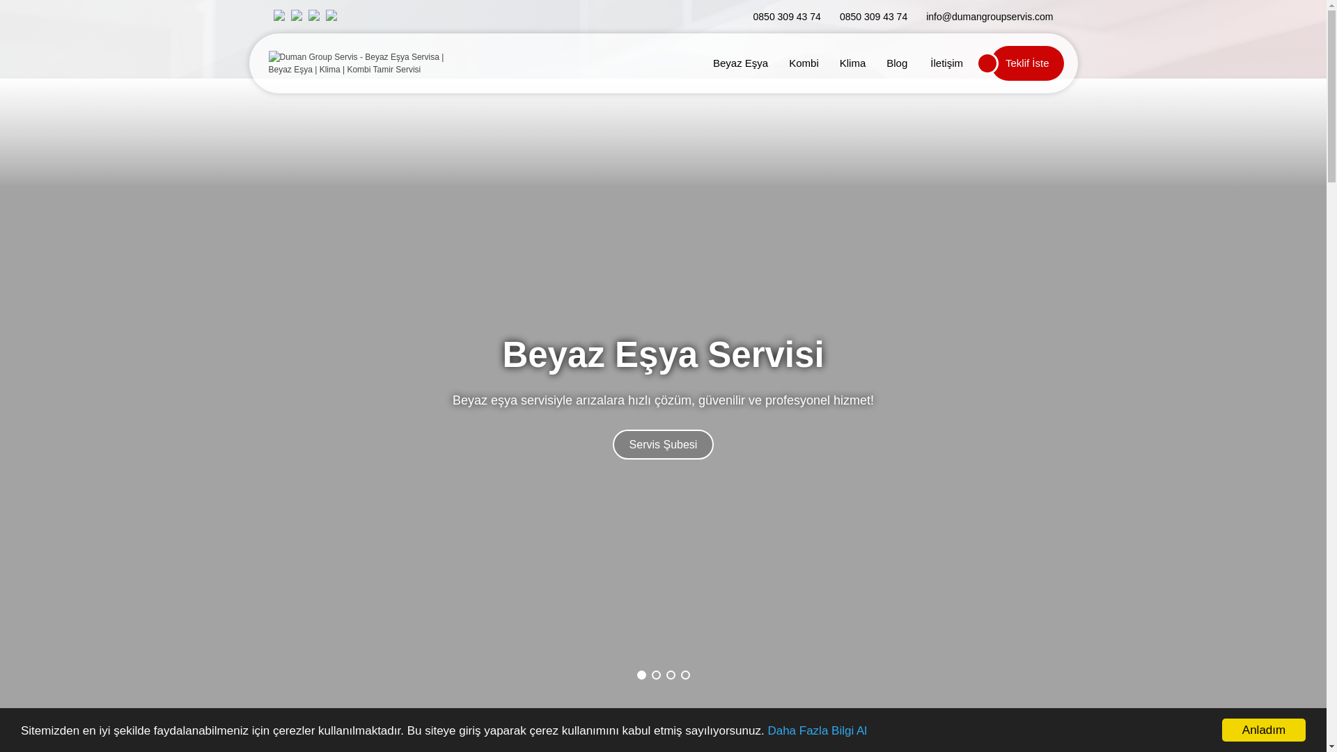 website screenshot of https://dumangroupservisi.com/