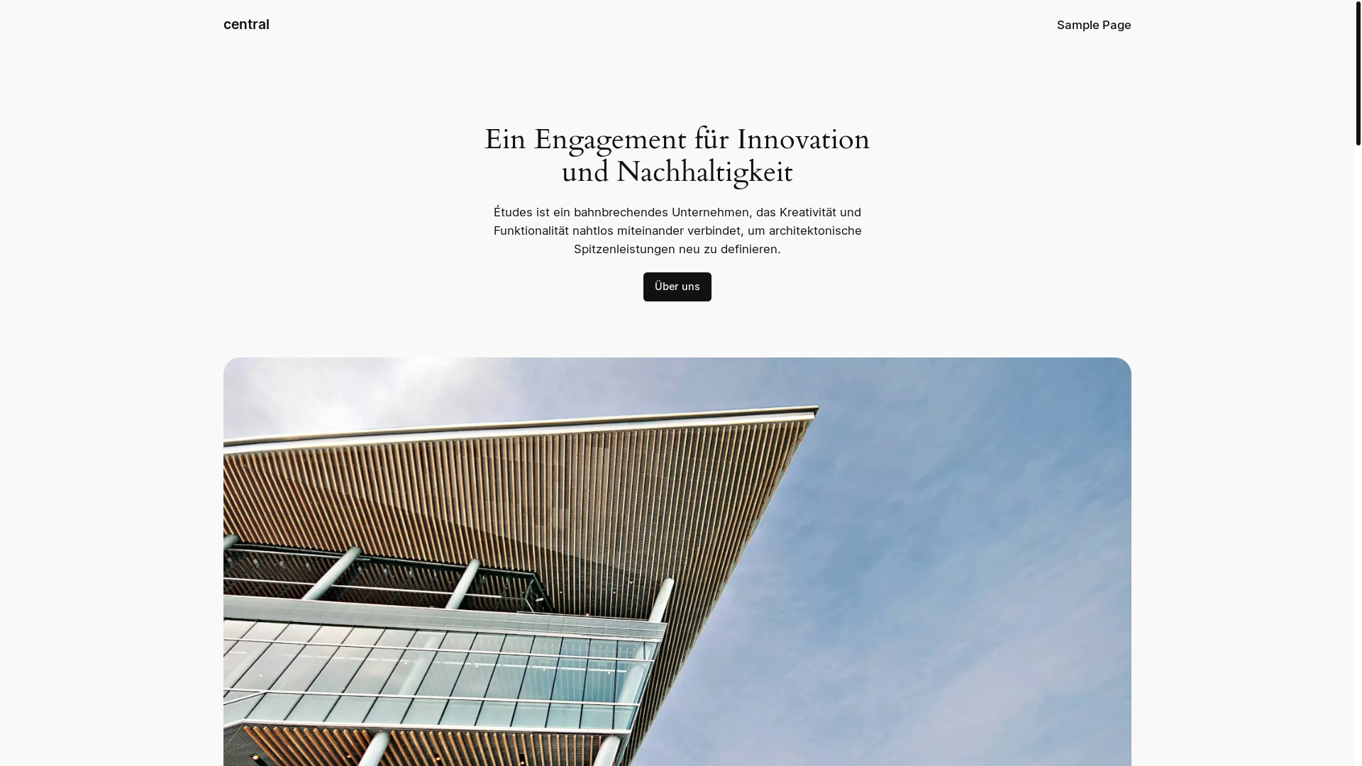 website screenshot of https://centraltaxiaarau.ch/