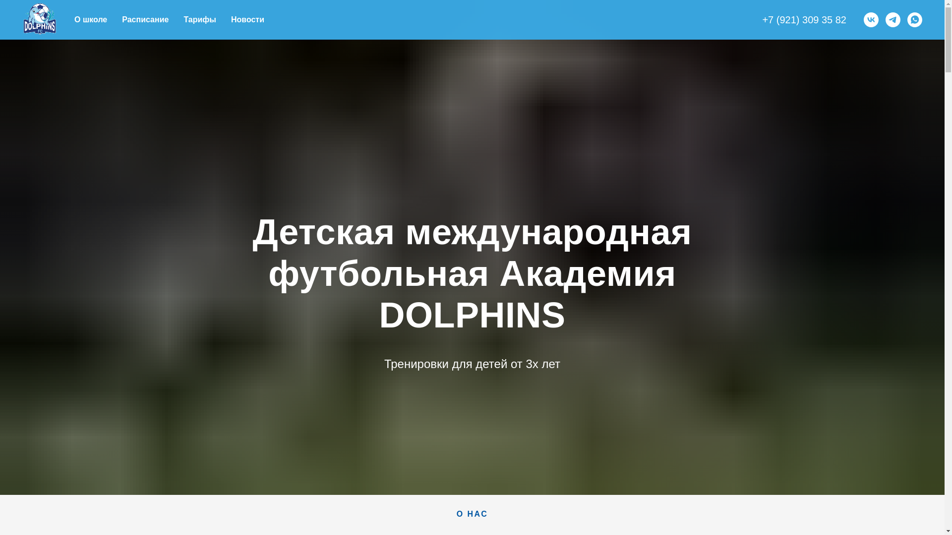 website screenshot of https://dolphinsmoscow.football/