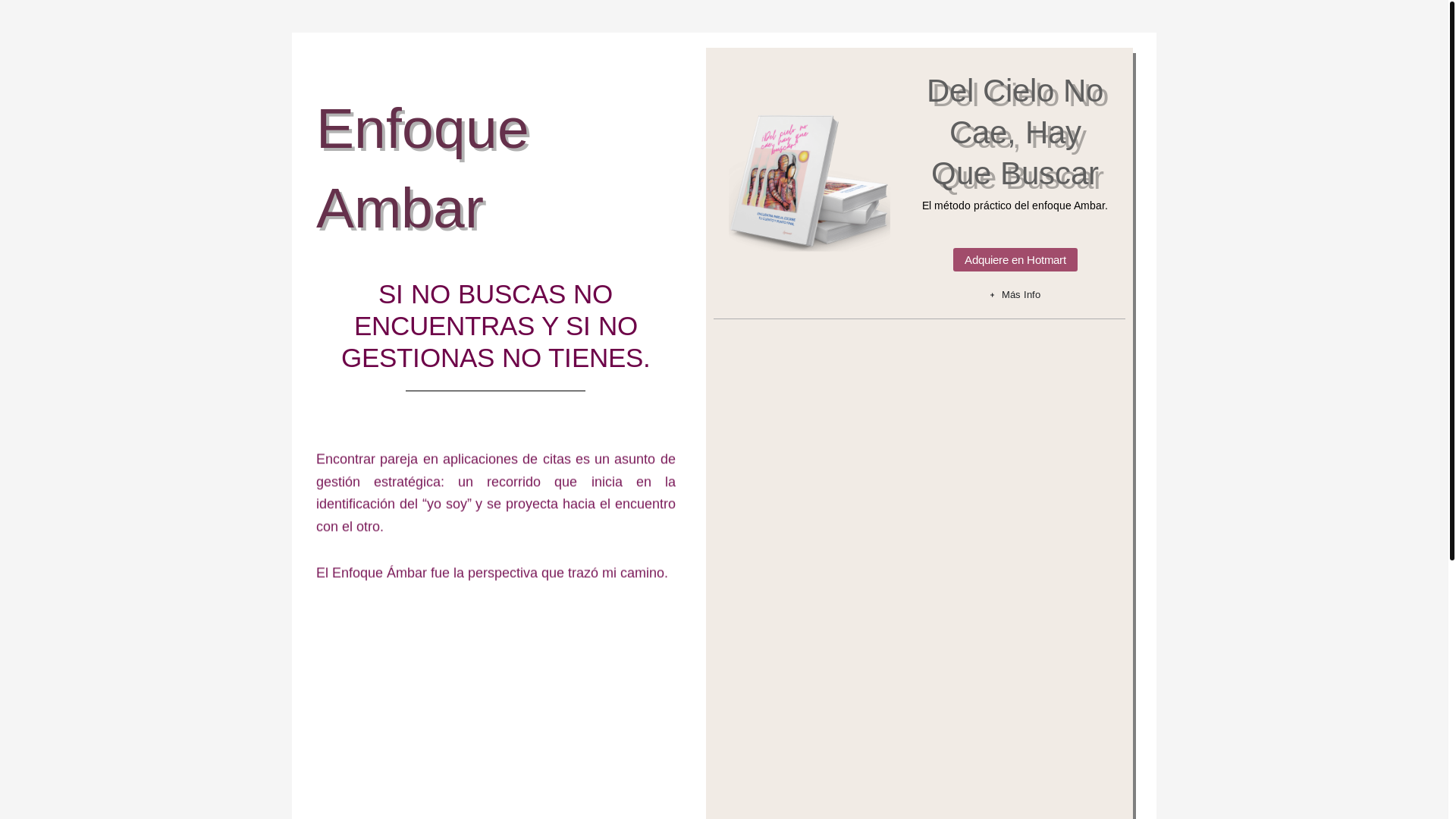 website screenshot of https://enfoqueambar.com/