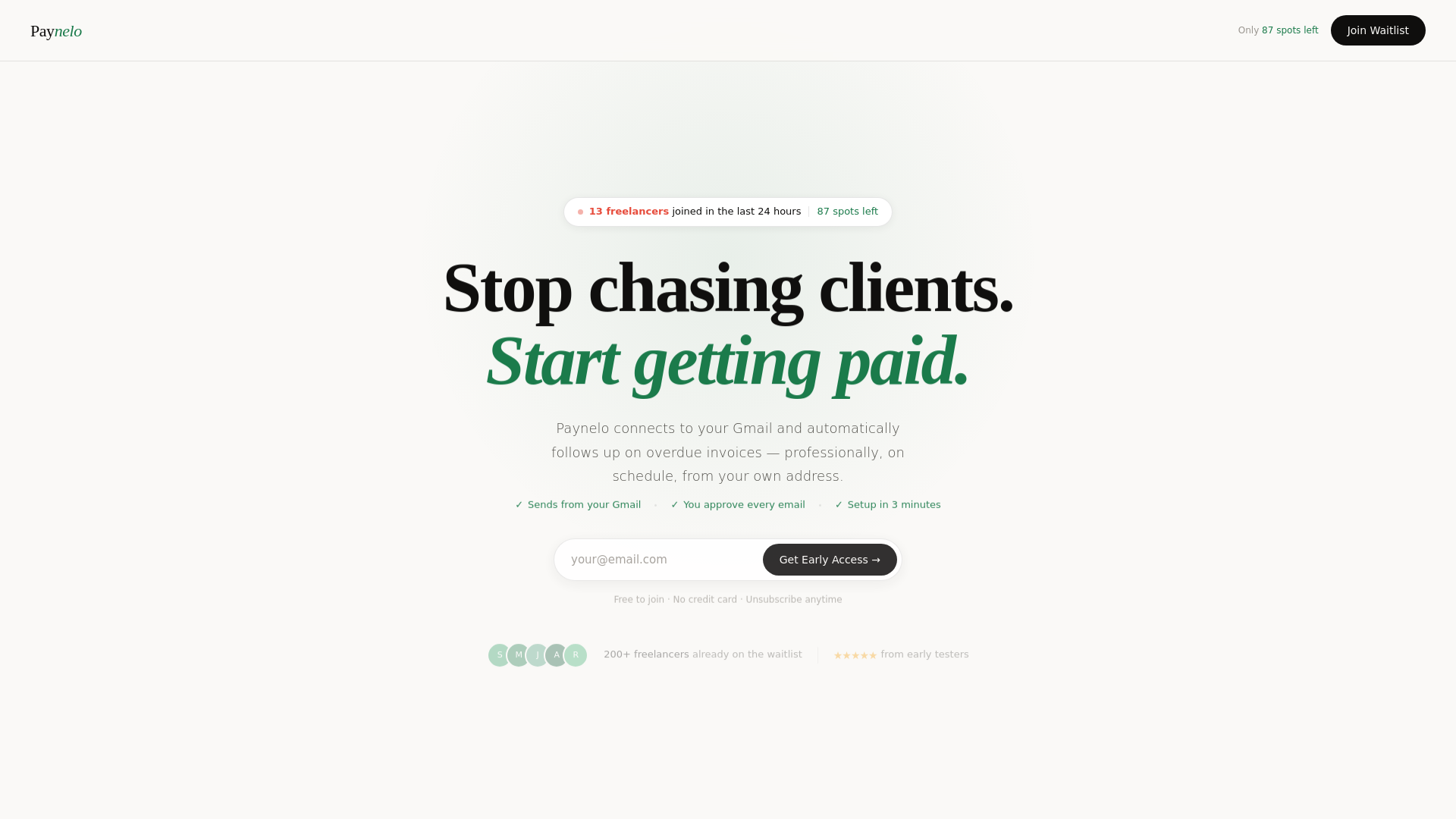 website screenshot of https://paynelo.com/