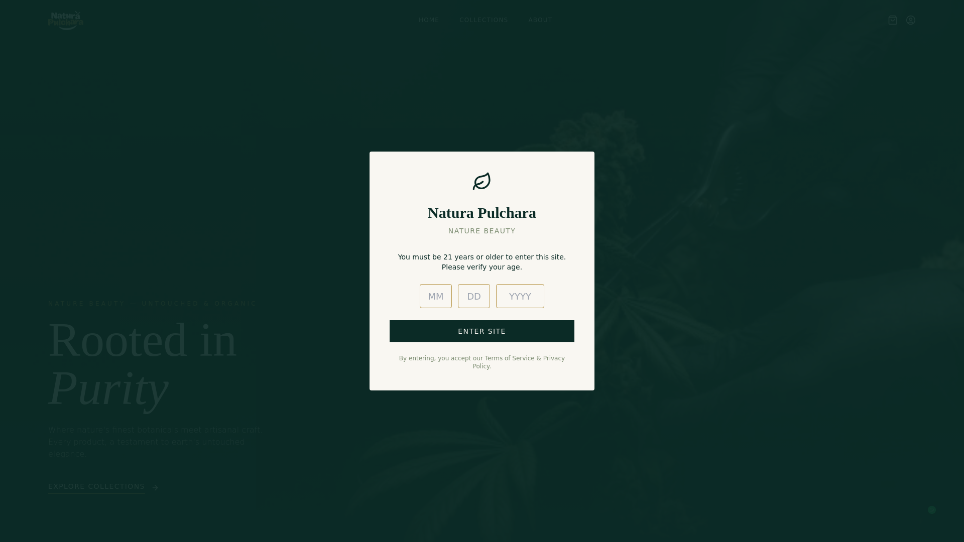 website screenshot of https://naturapulchara.com/