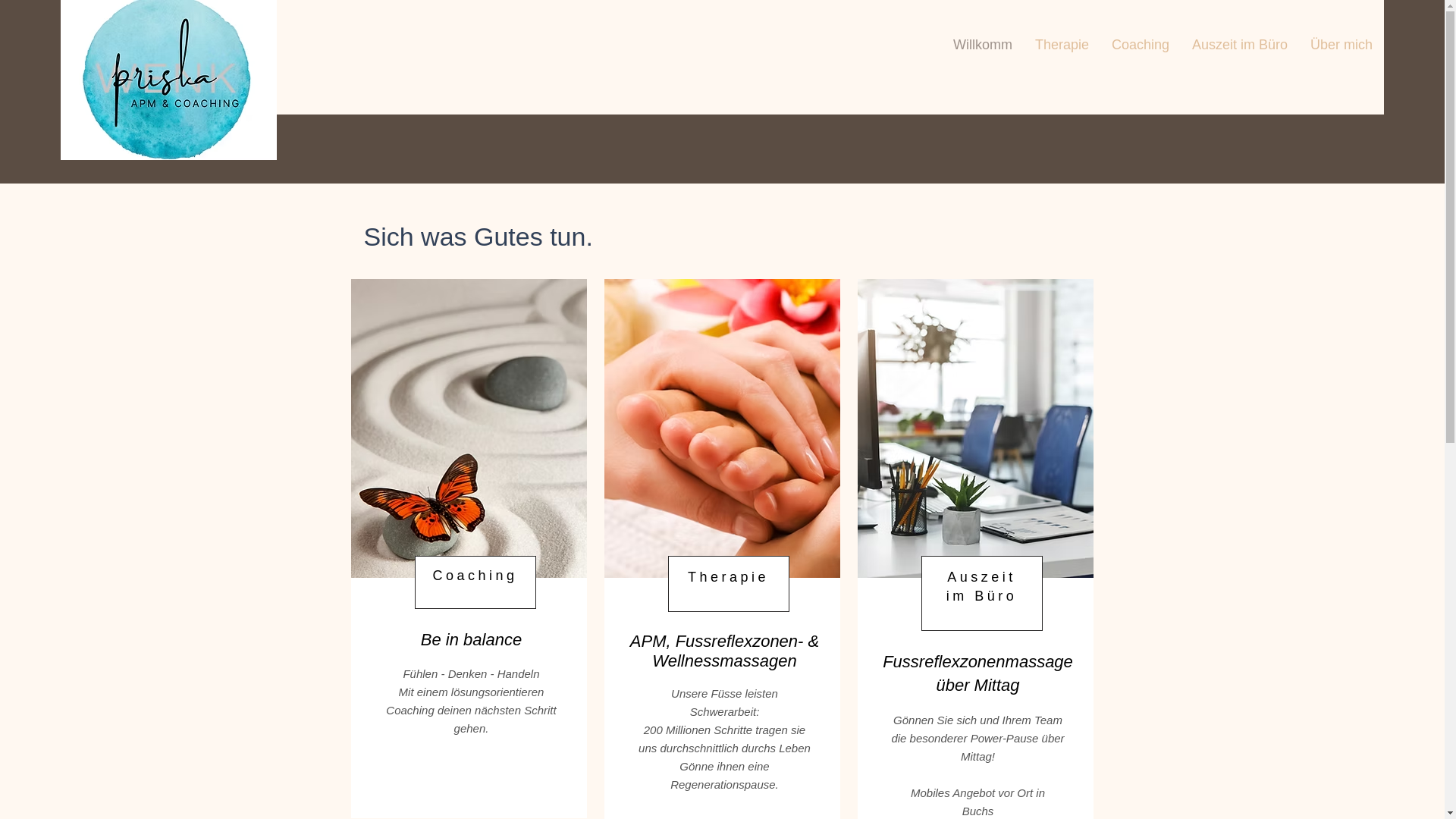 website screenshot of https://apm-coaching.ch/