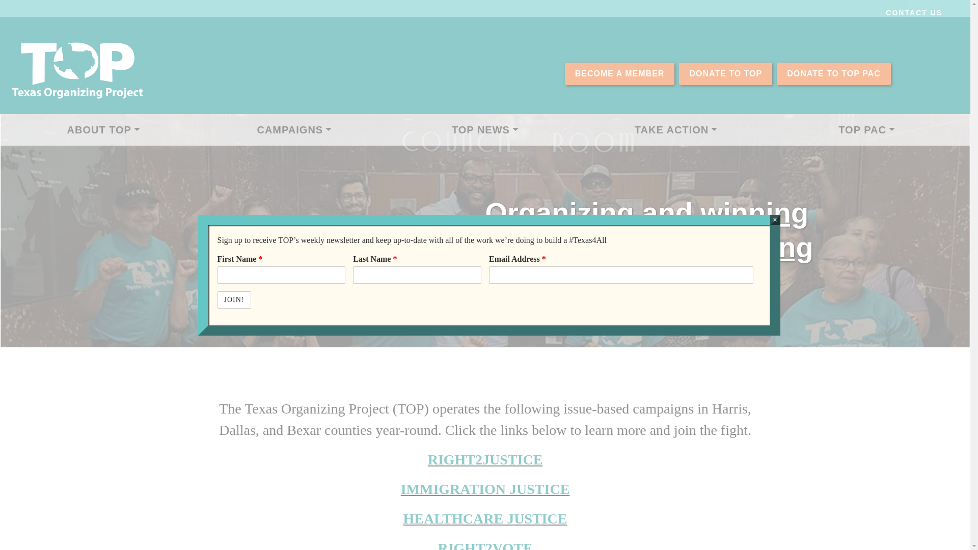 website screenshot of https://txorganizingproject.com/