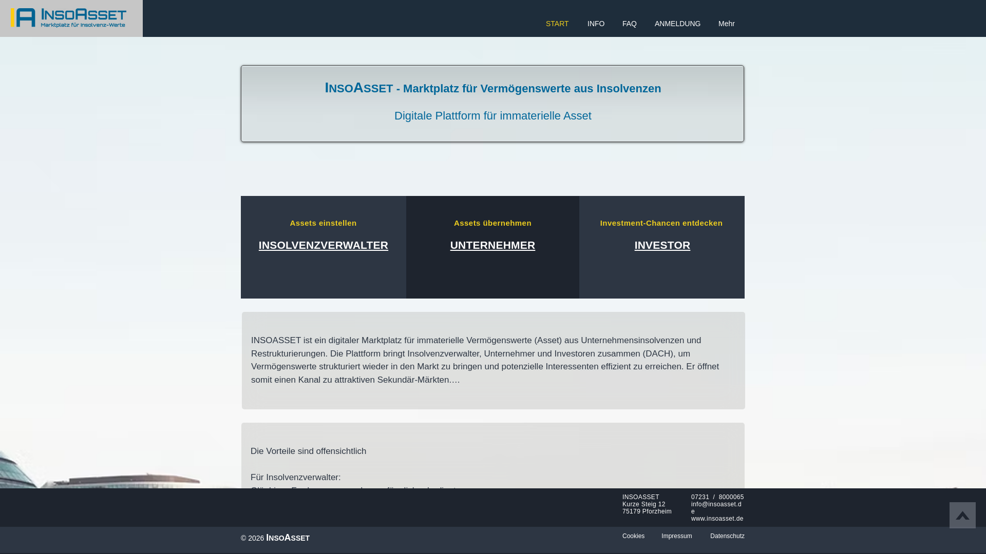 website screenshot of https://insoasset.de