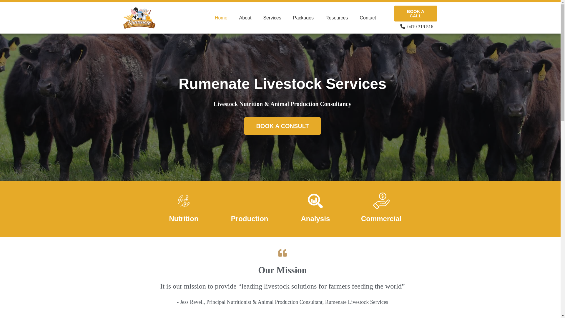 website screenshot of https://rumenate.online/