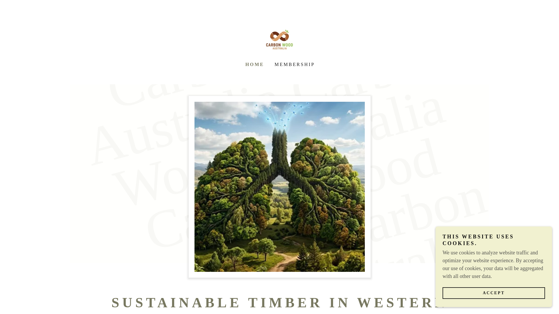 website screenshot of https://carbonwoodaustralia.com.au