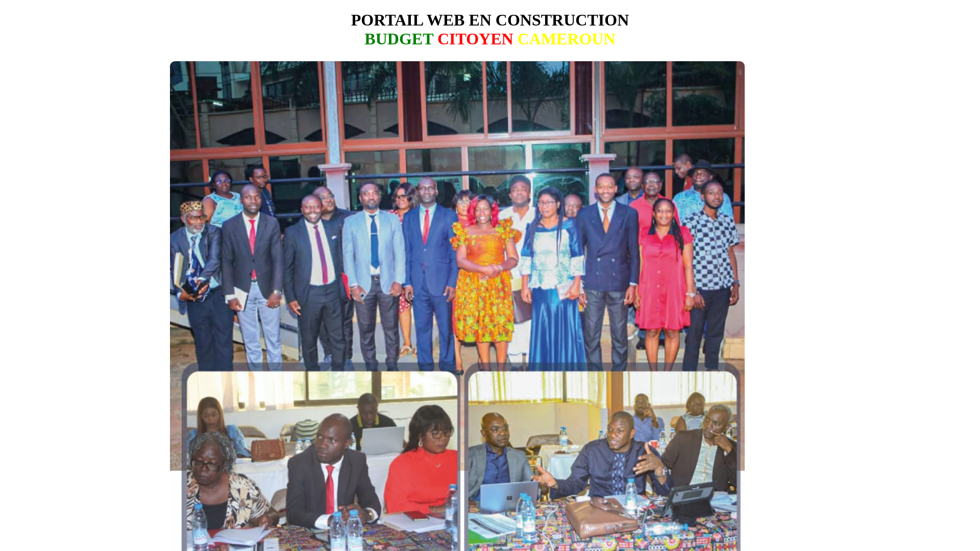 website screenshot of https://budgetcitoyen237.org