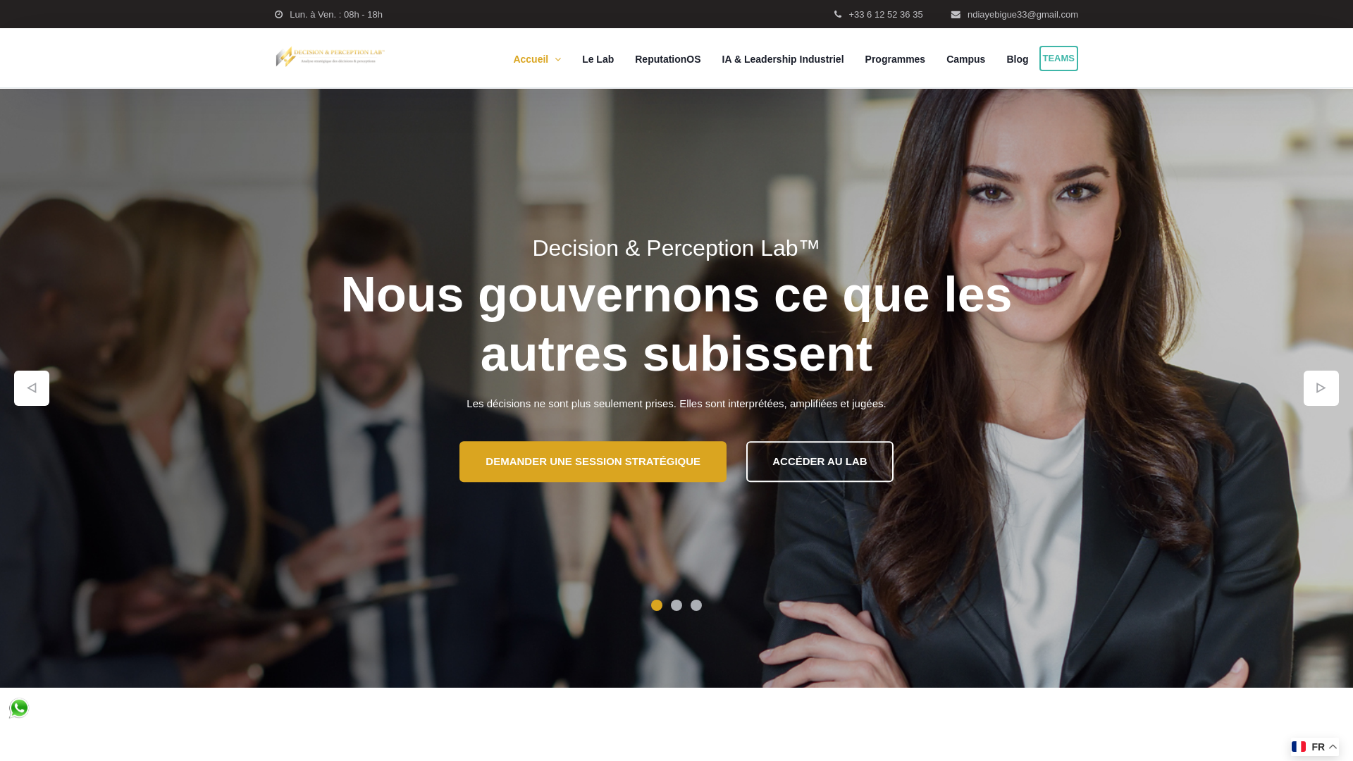 website screenshot of https://decisionperceptionlab.com